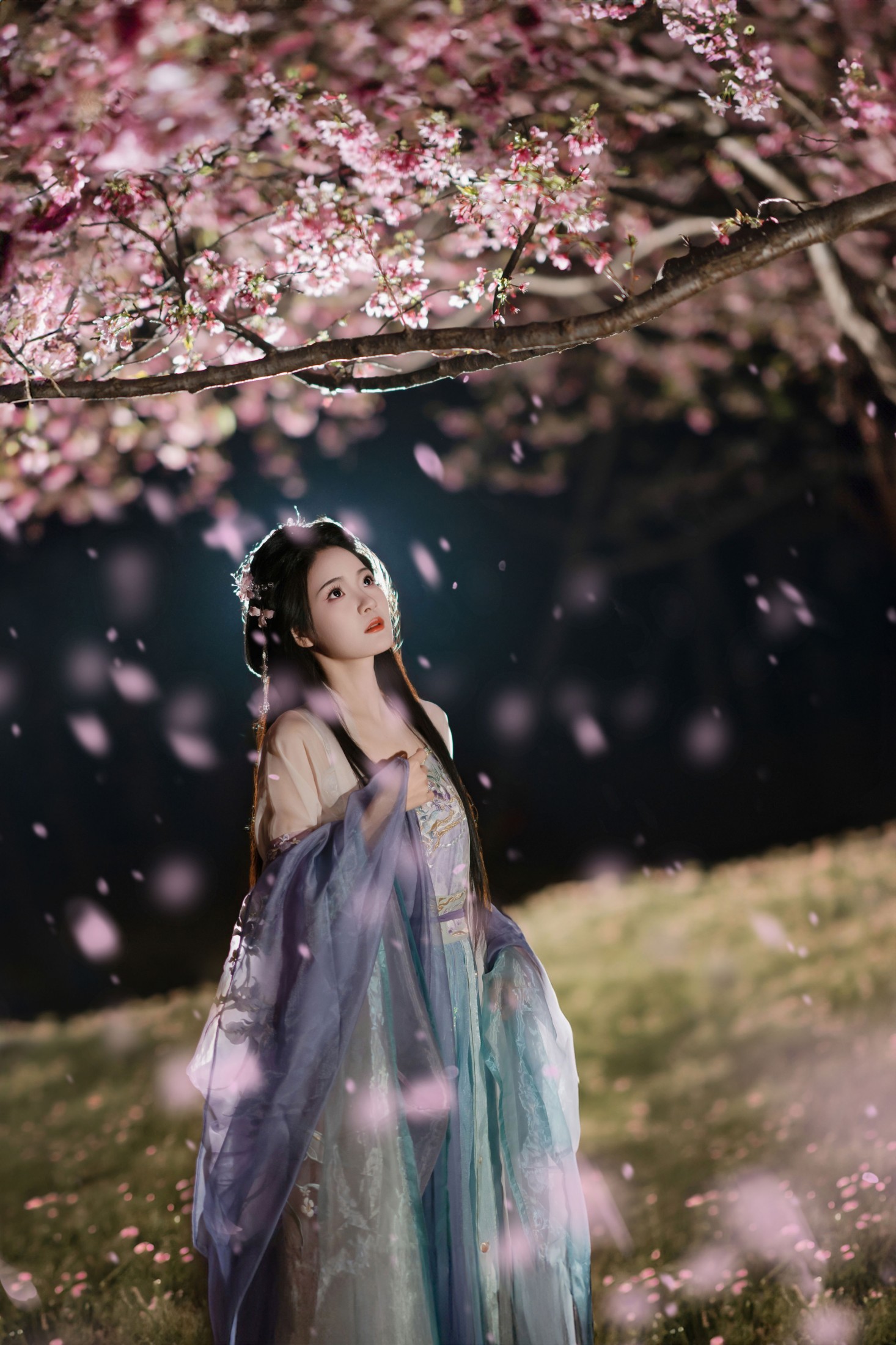 图片[5] - 南栀nz - 《夜樱古风人像拍摄》[14P] - 机器猫次元 - 机器猫次元