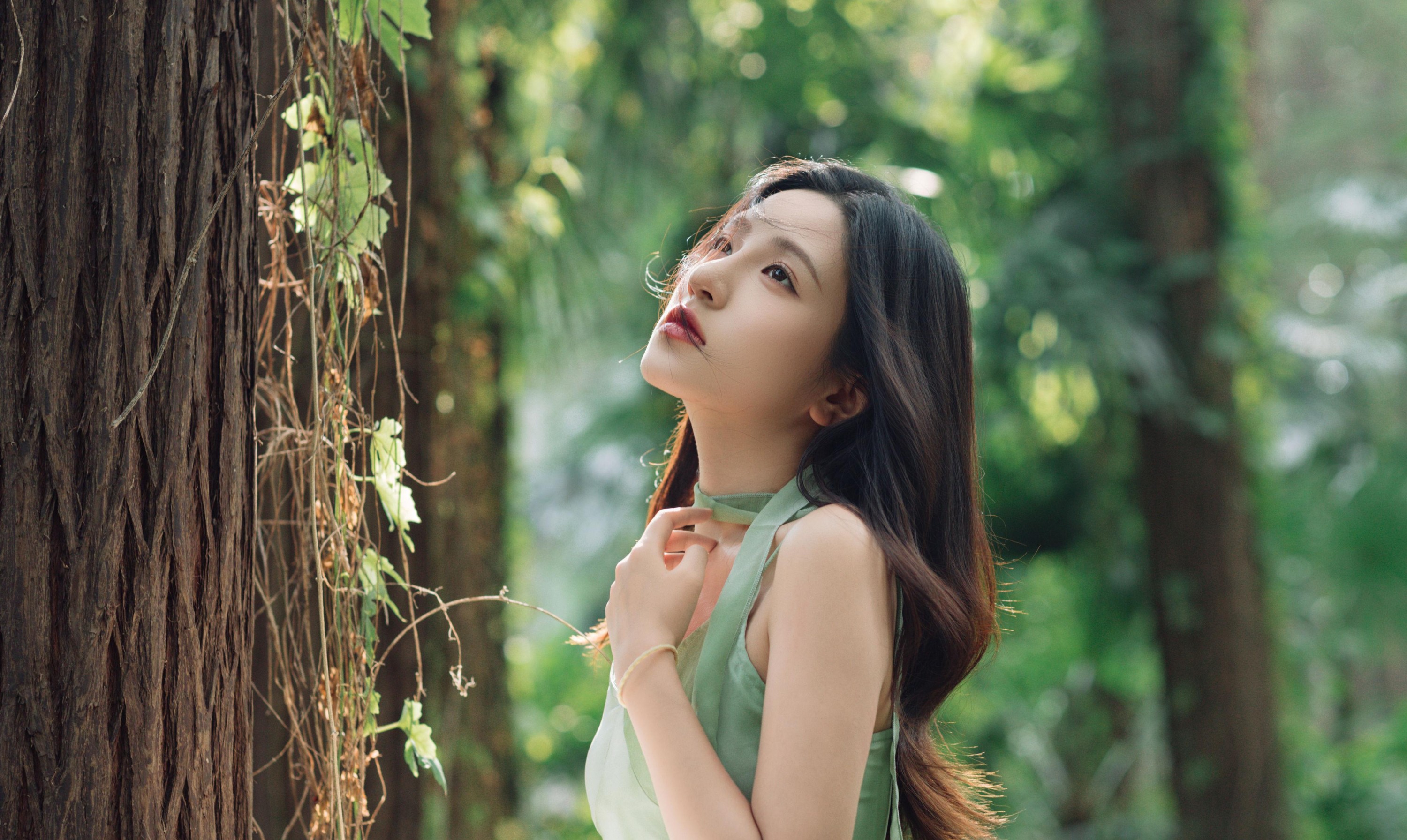 图片[2] - 豆皮 - 《绿野仙踪》[15P] - 机器猫次元 - 机器猫次元