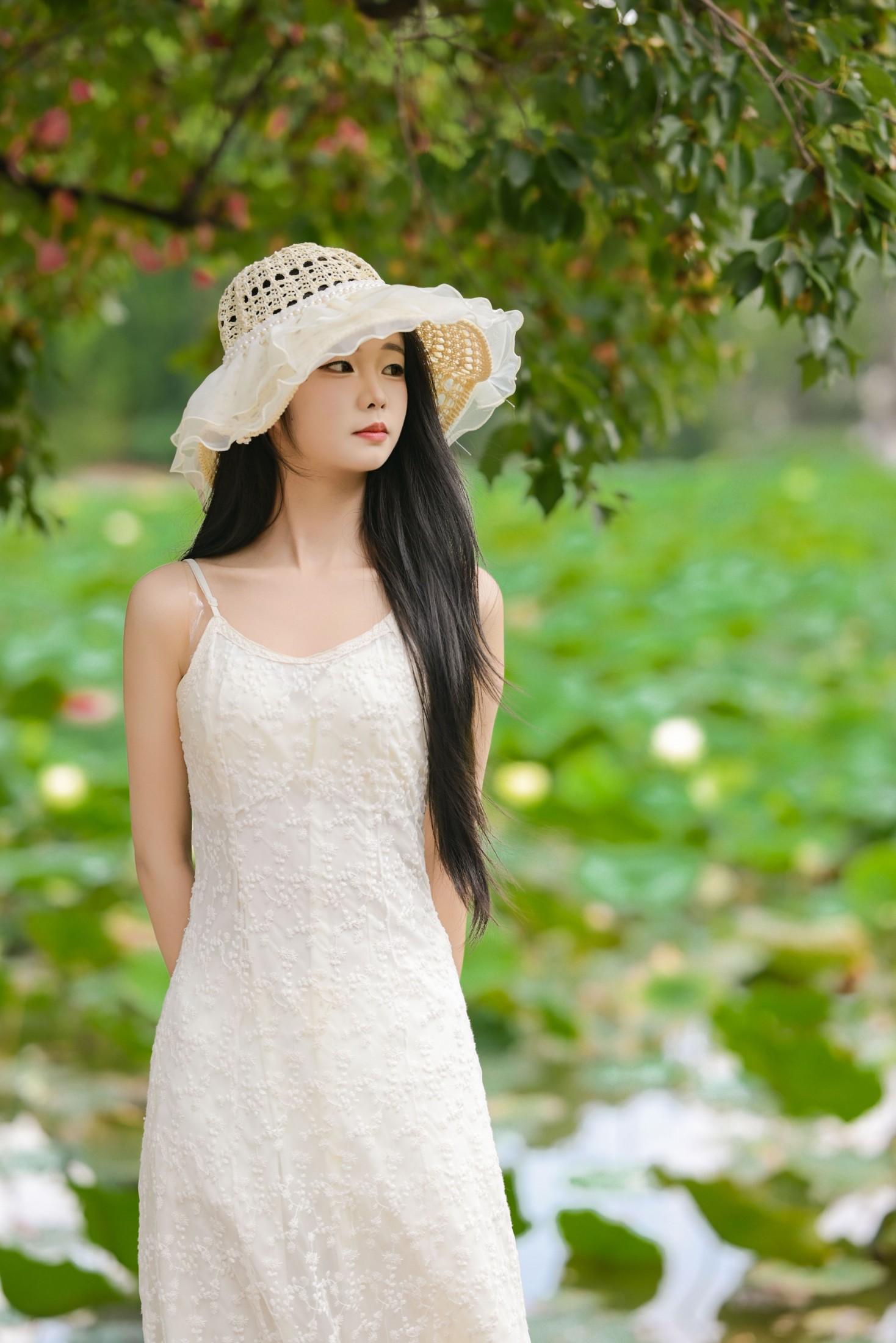 图片[1] - 艾青 - 《菁菁芳华》[26P] - 机器猫次元 - 机器猫次元