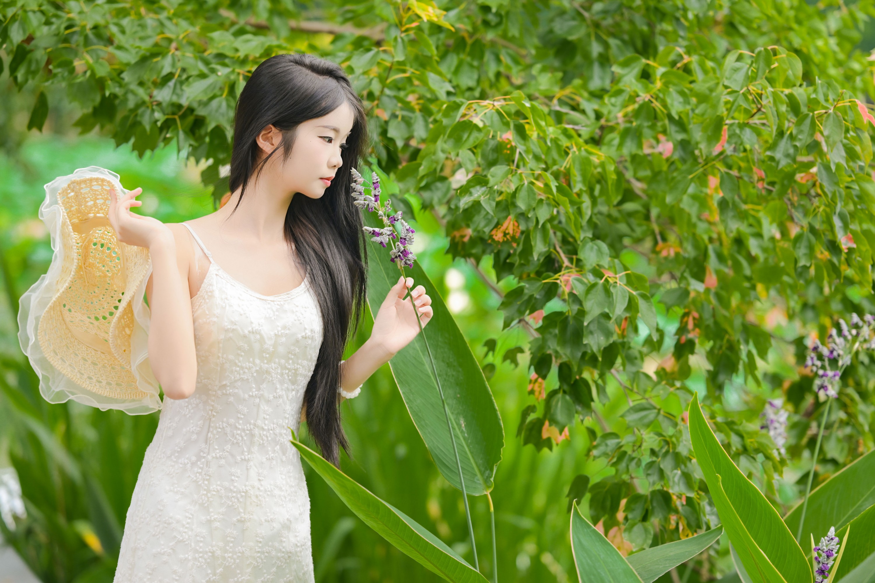 图片[3] - 艾青 - 《菁菁芳华》[26P] - 机器猫次元 - 机器猫次元