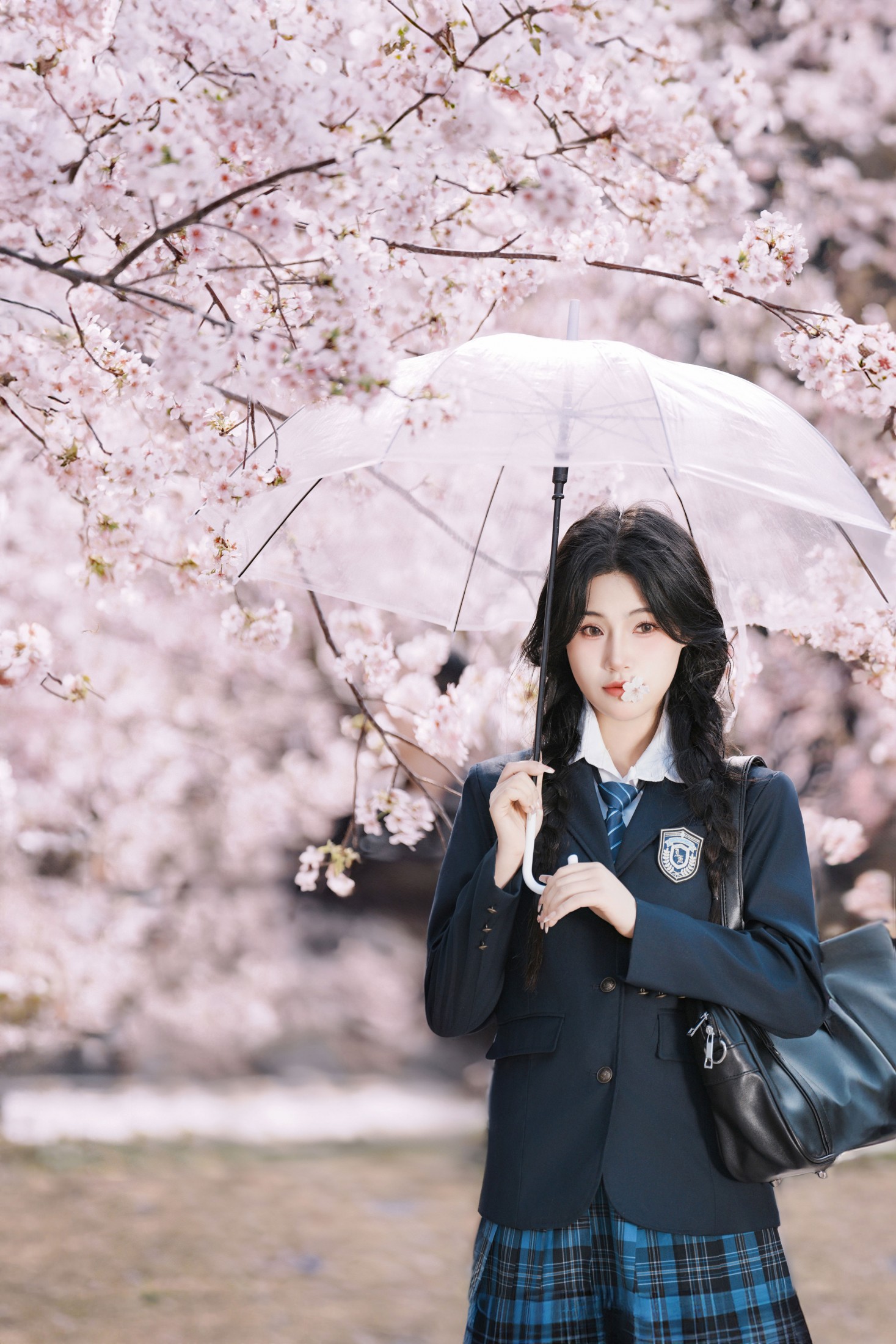 图片[3] - MIKO - 《日系樱花人像拍摄》[19P] - 机器猫次元 - 机器猫次元