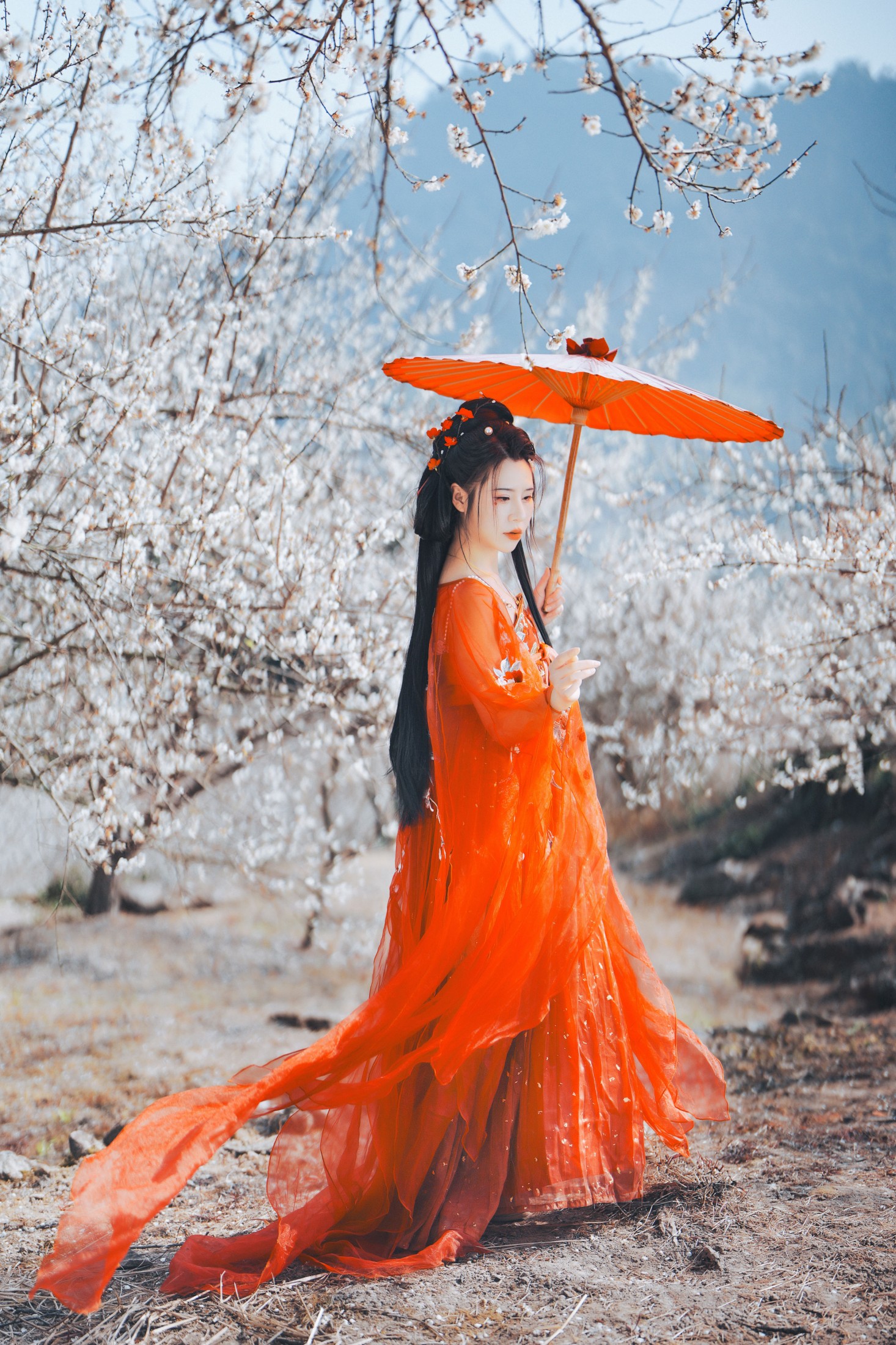 图片[1] - 浅月没有月 - 《梅花古风人像拍摄》[18P] - 机器猫次元 - 机器猫次元