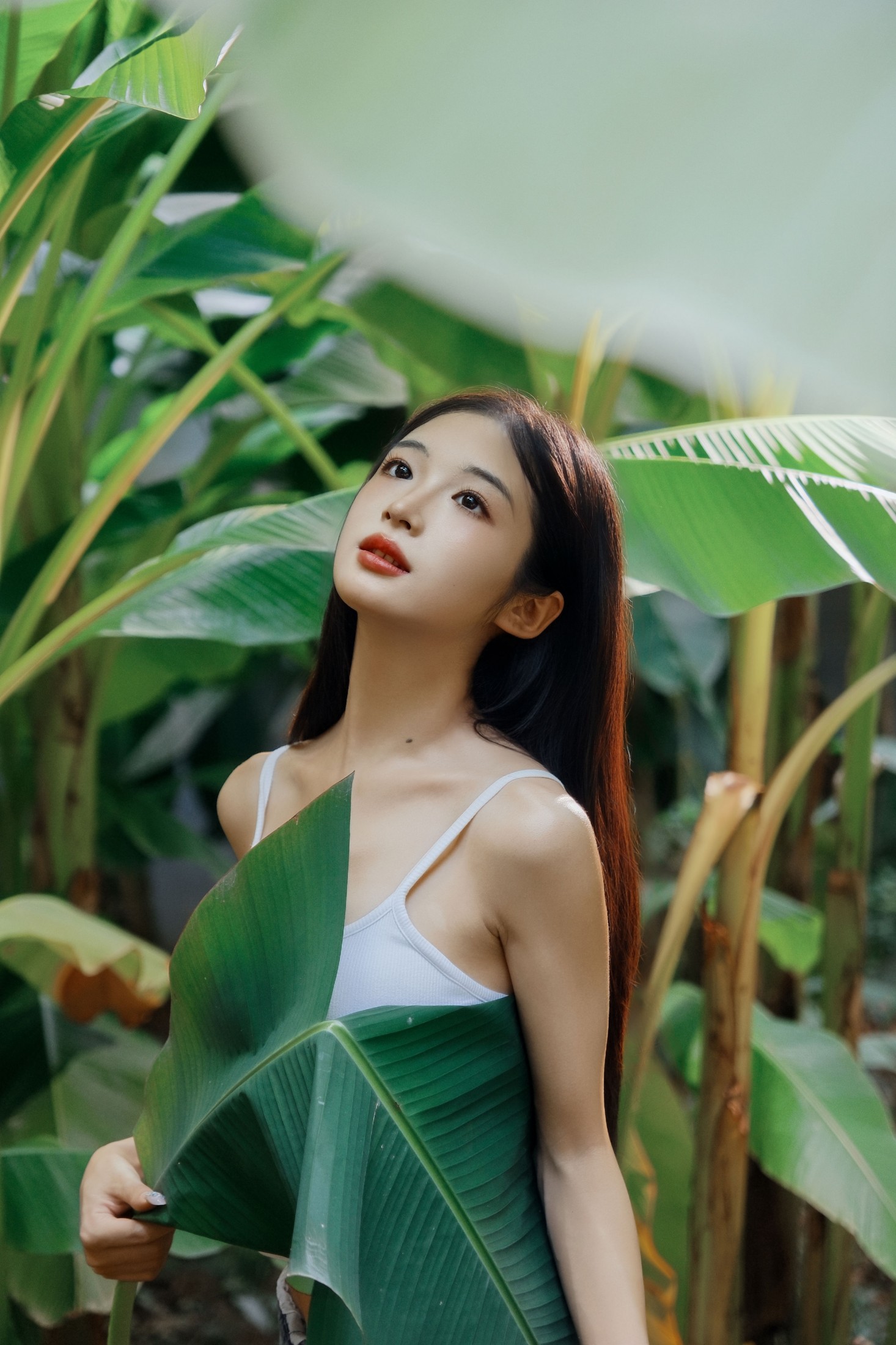 图片[1] - 蝴蝶 - 《芭蕉叶下的邂逅》[25P] - 机器猫次元 - 机器猫次元