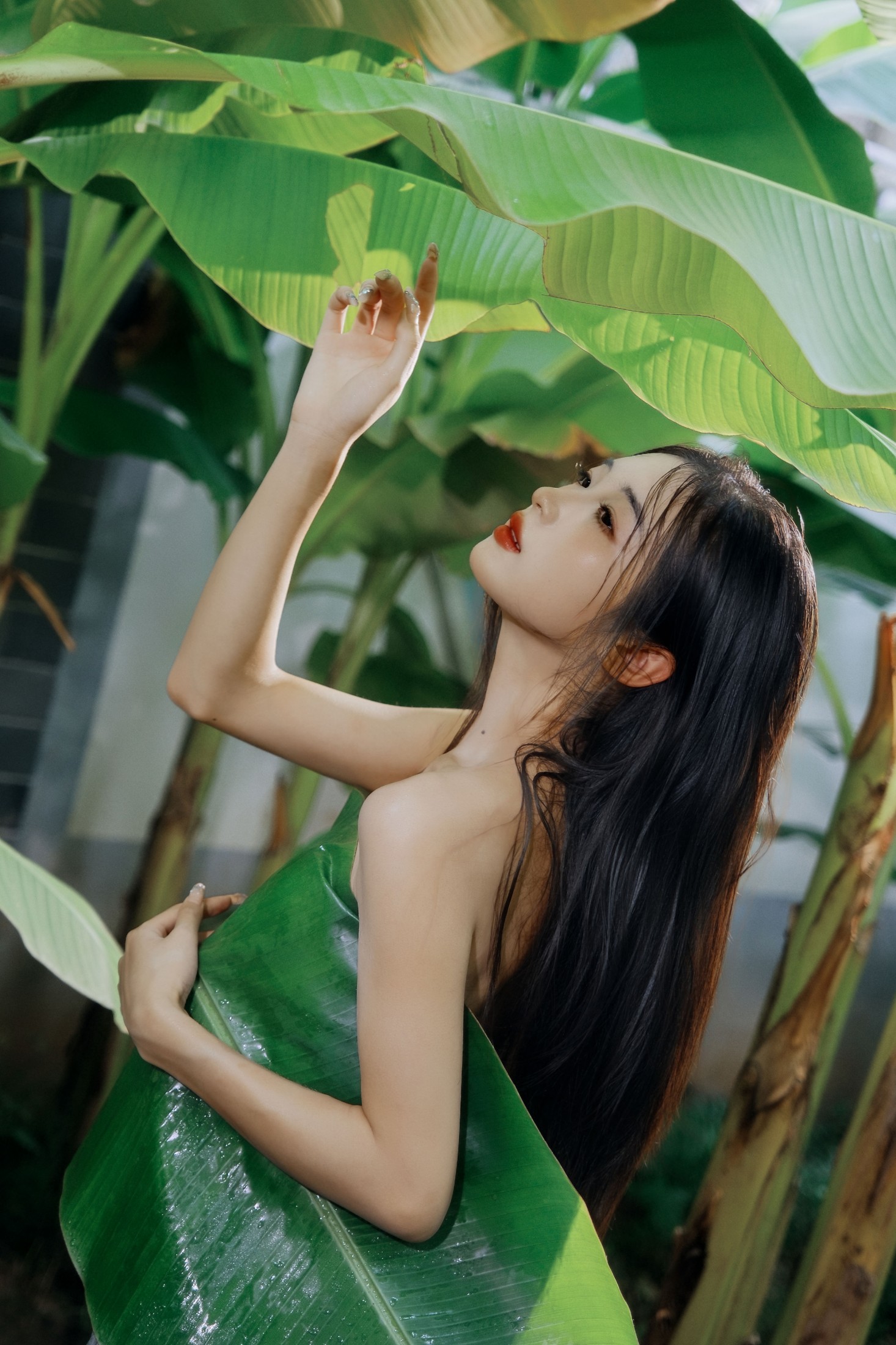 图片[5] - 蝴蝶 - 《芭蕉叶下的邂逅》[25P] - 机器猫次元 - 机器猫次元