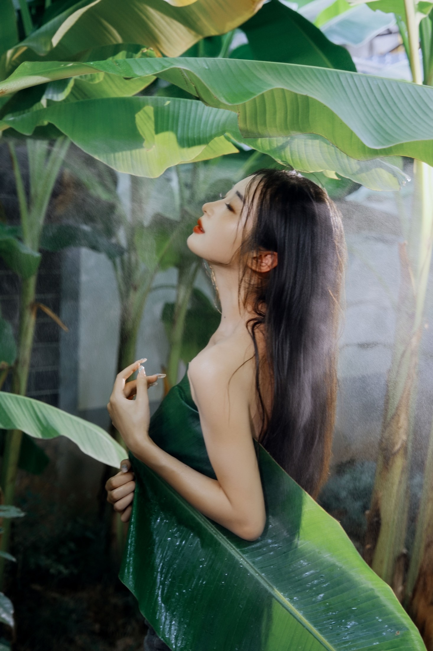 图片[6] - 蝴蝶 - 《芭蕉叶下的邂逅》[25P] - 机器猫次元 - 机器猫次元