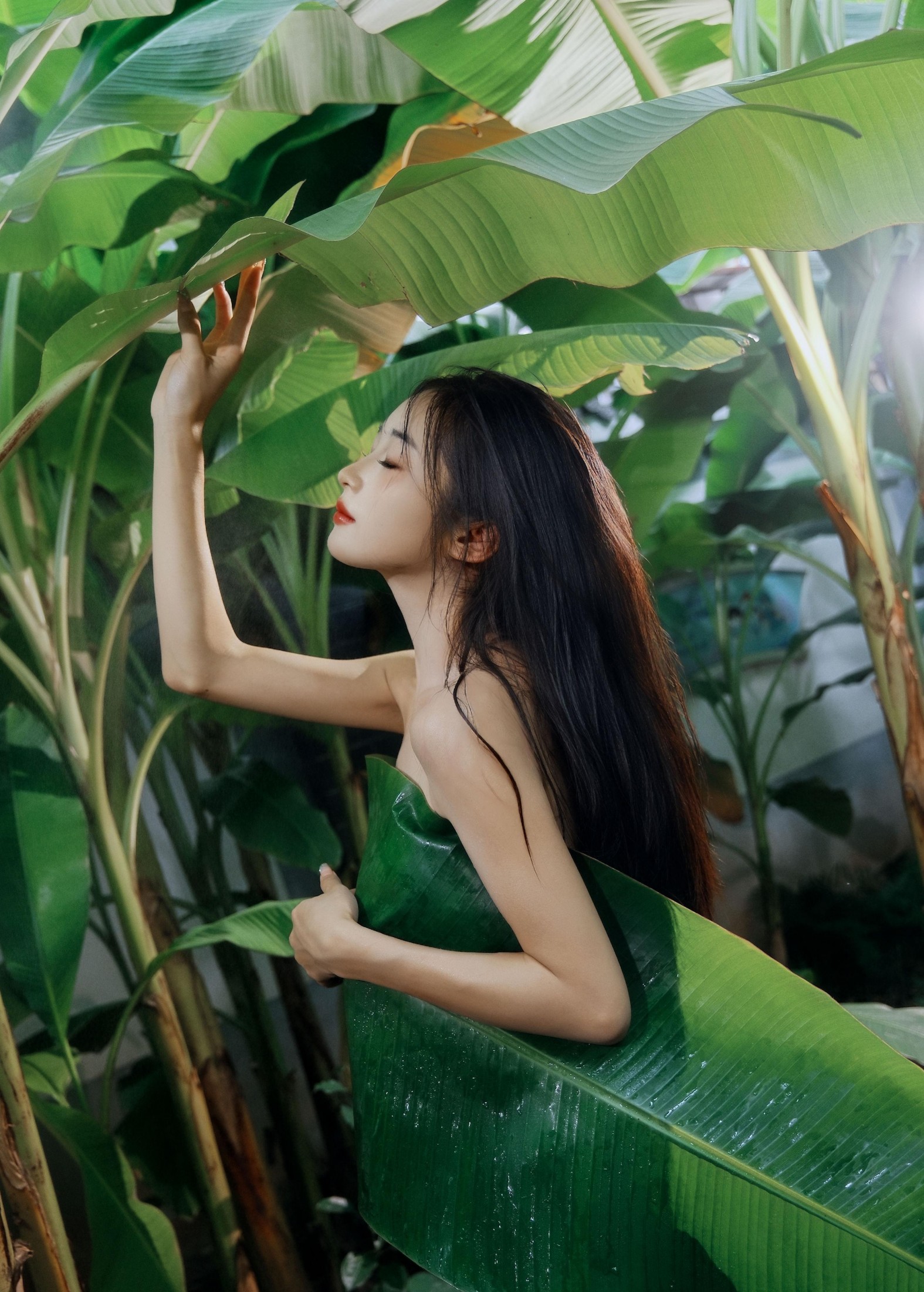 图片[2] - 蝴蝶 - 《芭蕉叶下的邂逅》[25P] - 机器猫次元 - 机器猫次元