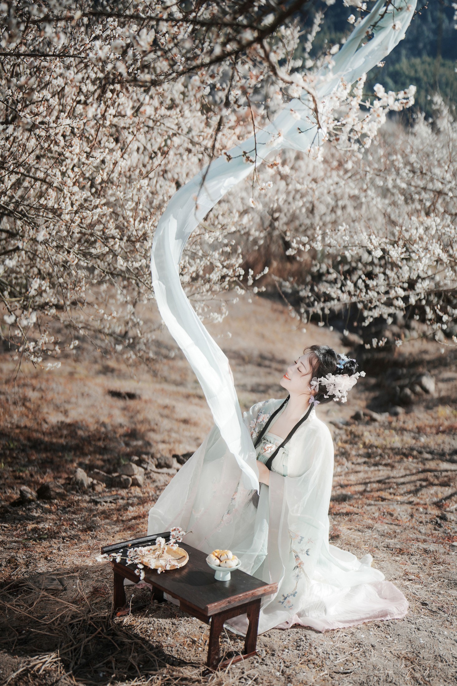 图片[8] - 泱泱泱呀 - 《梅花古风人像拍摄》[25P] - 机器猫次元 - 机器猫次元