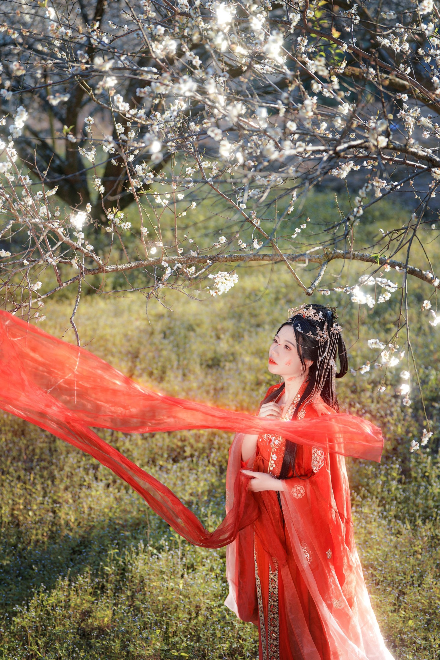 图片[8] - 阿咩 - 《梅花古风人像拍摄》[14P] - 机器猫次元 - 机器猫次元