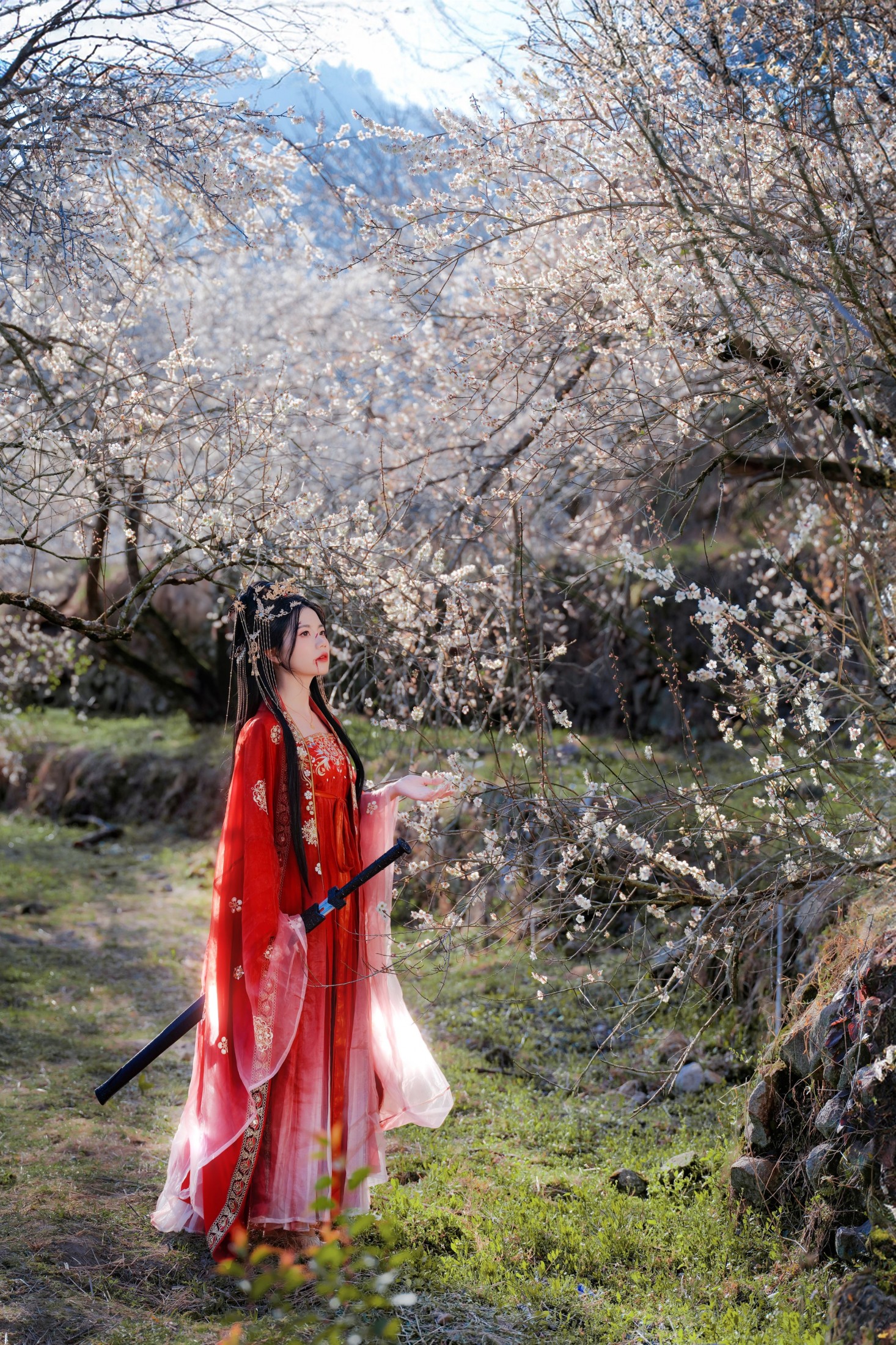 图片[1] - 阿咩 - 《梅花古风人像拍摄》[14P] - 机器猫次元 - 机器猫次元