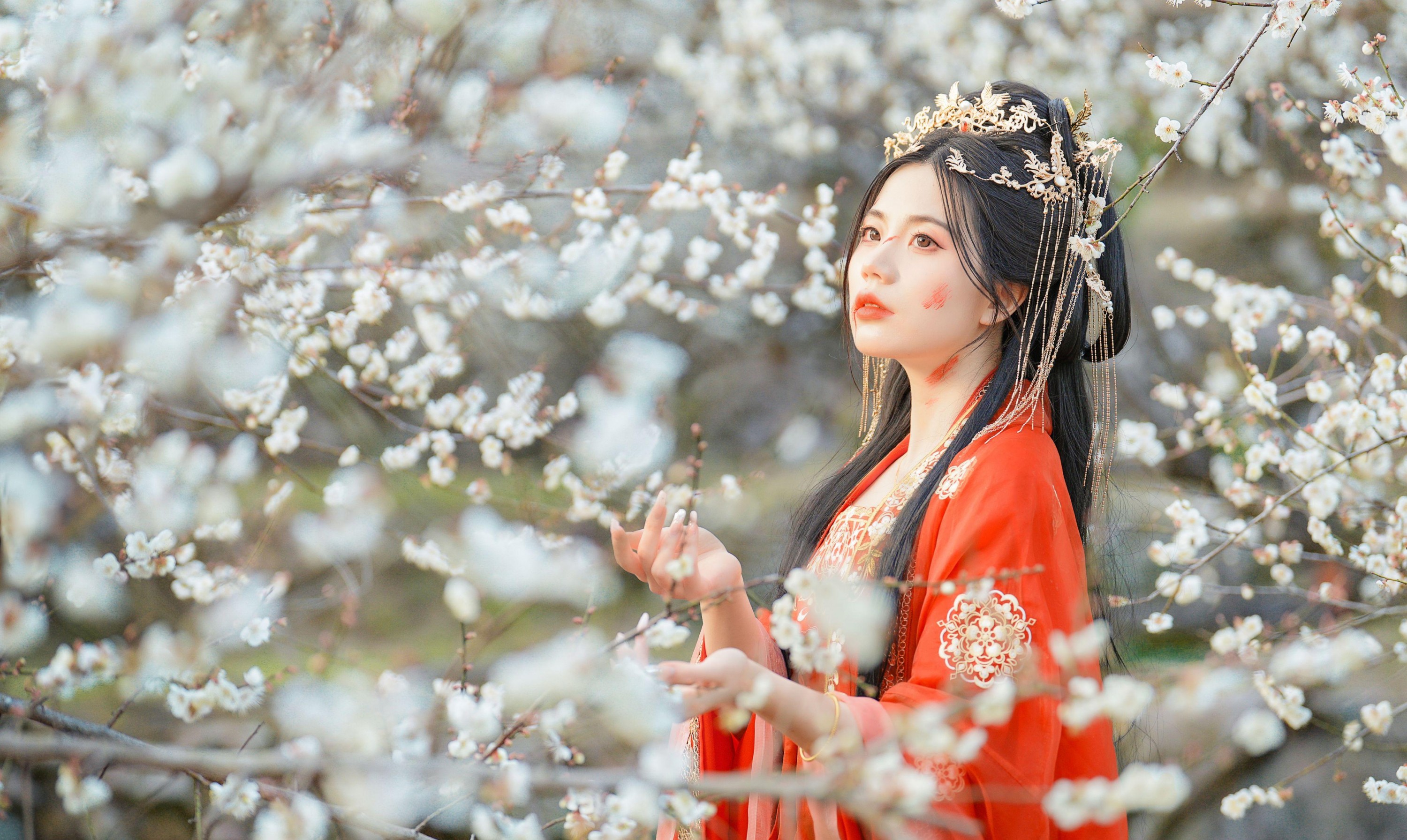 图片[2] - 阿咩 - 《梅花古风人像拍摄》[14P] - 机器猫次元 - 机器猫次元