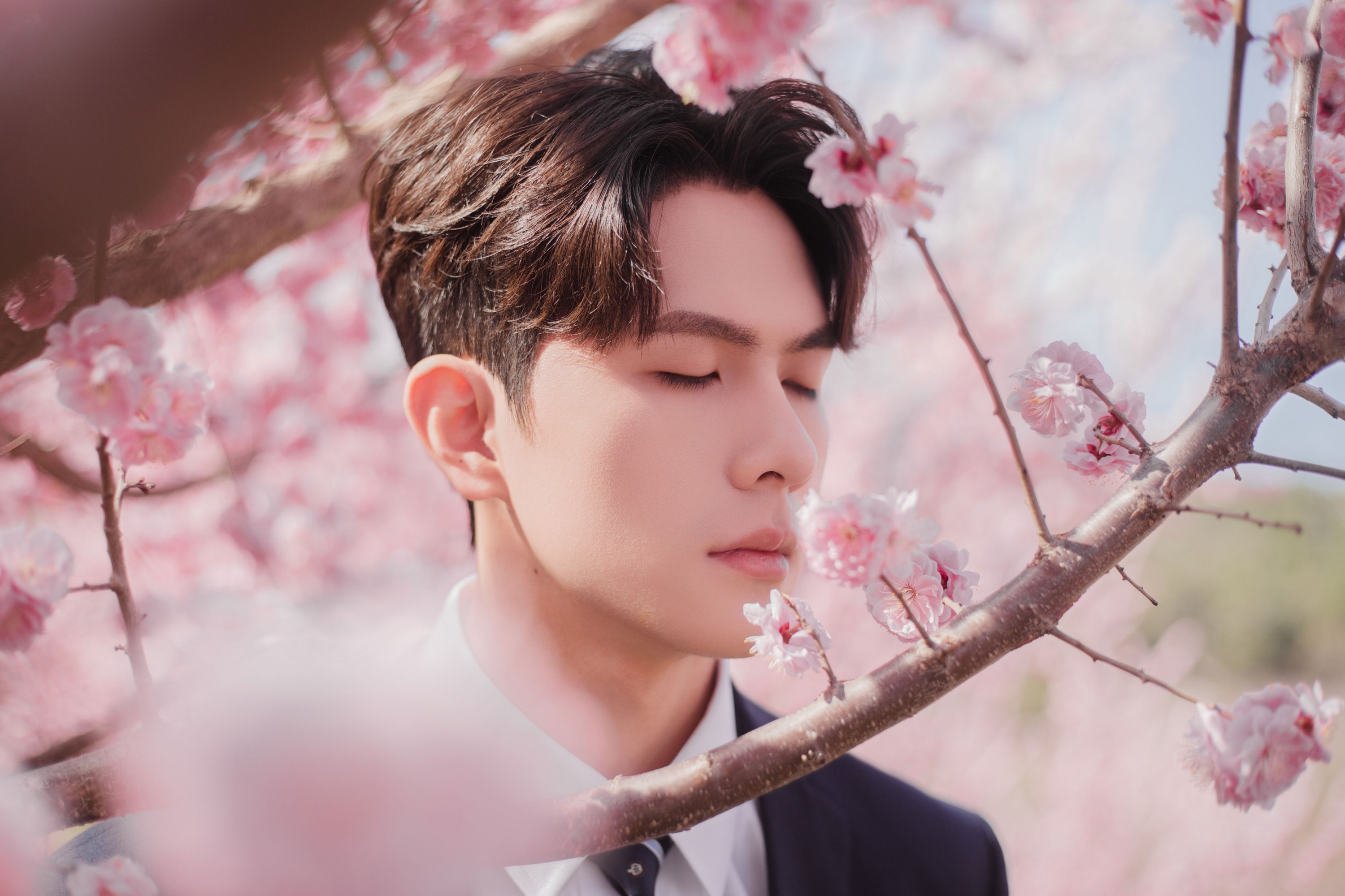图片[8] - 言弟弟 - 《树下樱花男孩》[28P] - 机器猫次元 - 机器猫次元