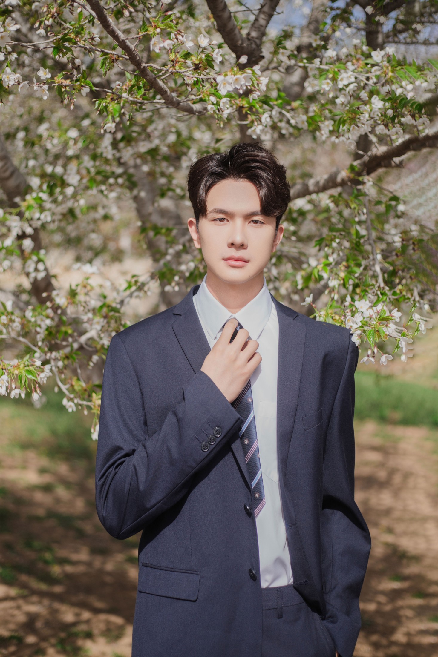 图片[1] - 言弟弟 - 《树下樱花男孩》[28P] - 机器猫次元 - 机器猫次元