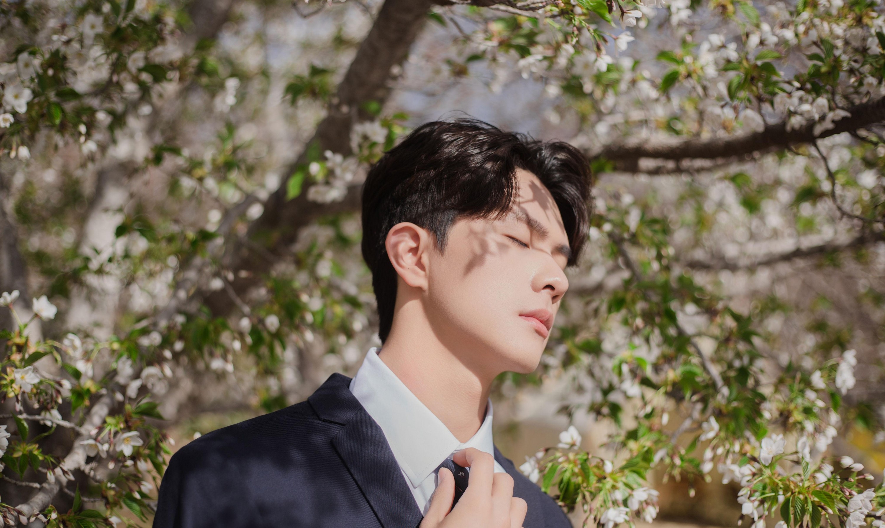 图片[2] - 言弟弟 - 《树下樱花男孩》[28P] - 机器猫次元 - 机器猫次元