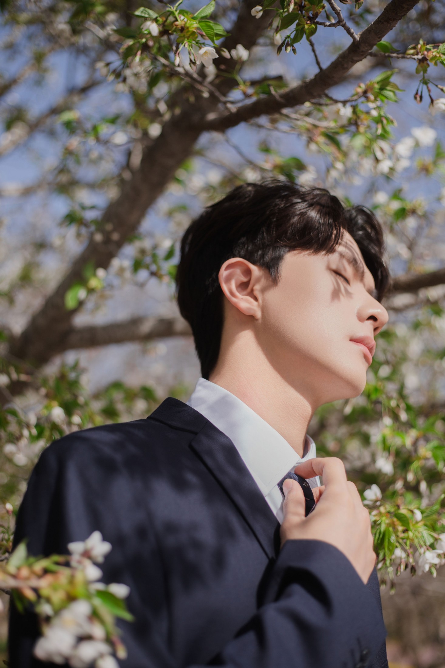 图片[3] - 言弟弟 - 《树下樱花男孩》[28P] - 机器猫次元 - 机器猫次元