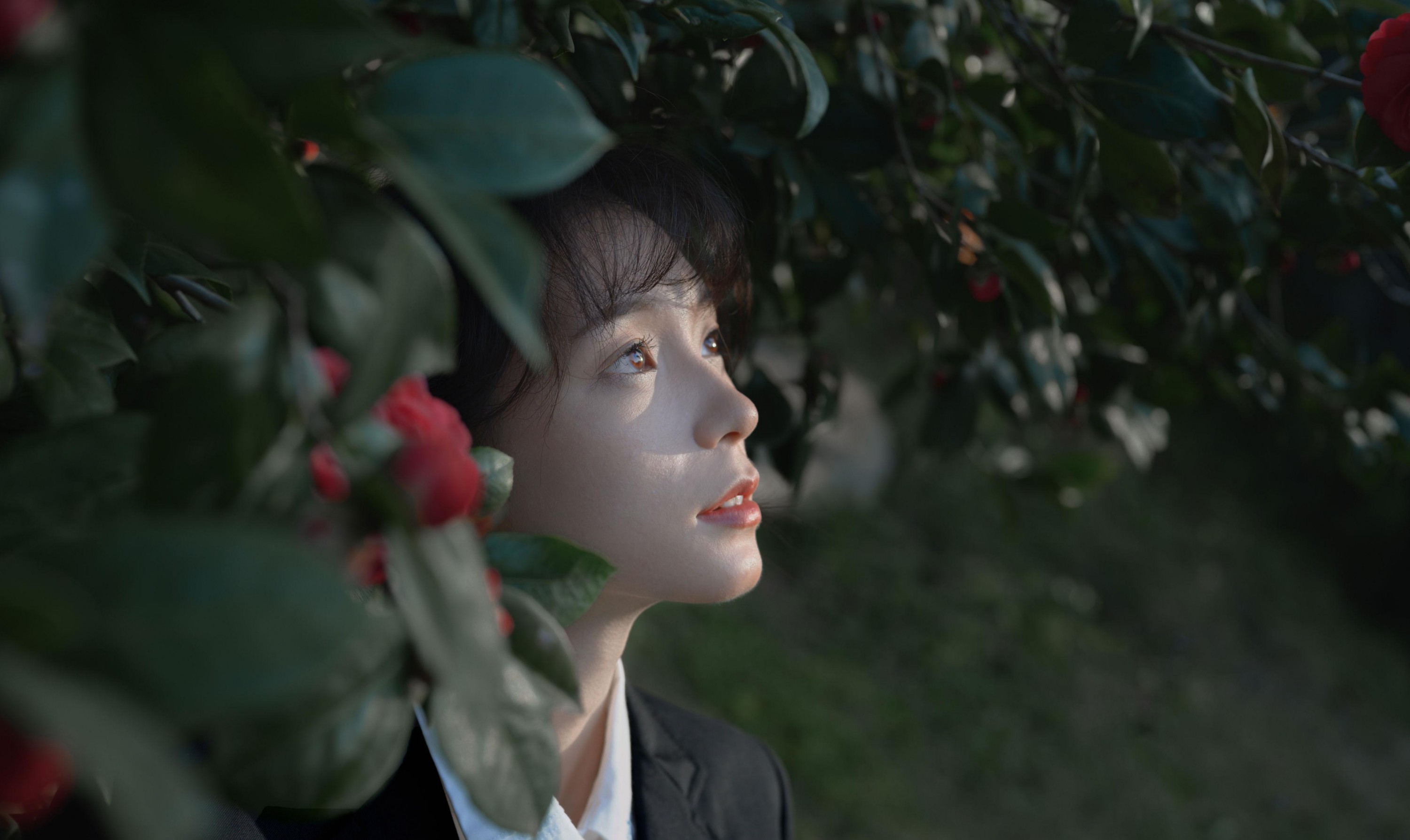 图片[2] - 森森 - 《那年的山茶》[15P] - 机器猫次元 - 机器猫次元