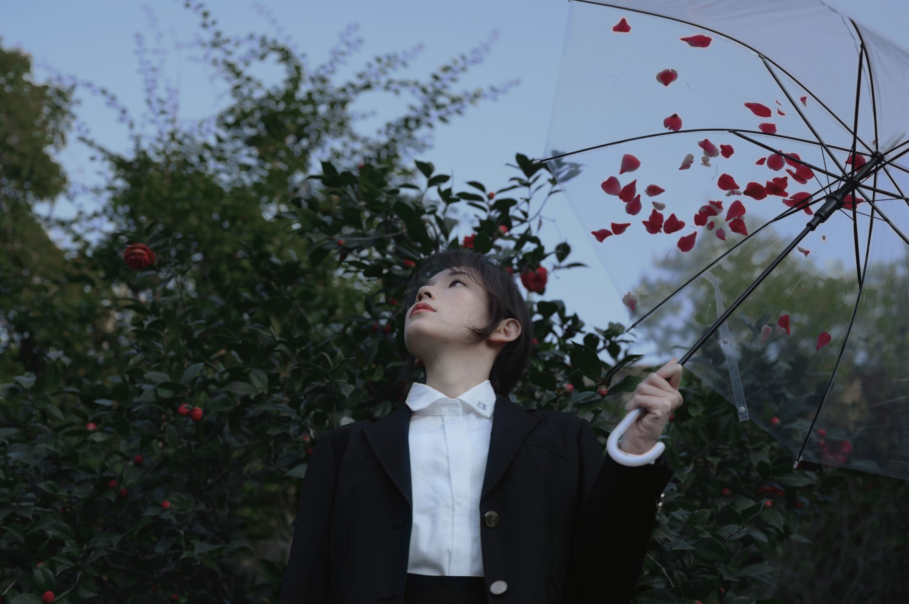 图片[5] - 森森 - 《那年的山茶》[15P] - 机器猫次元 - 机器猫次元