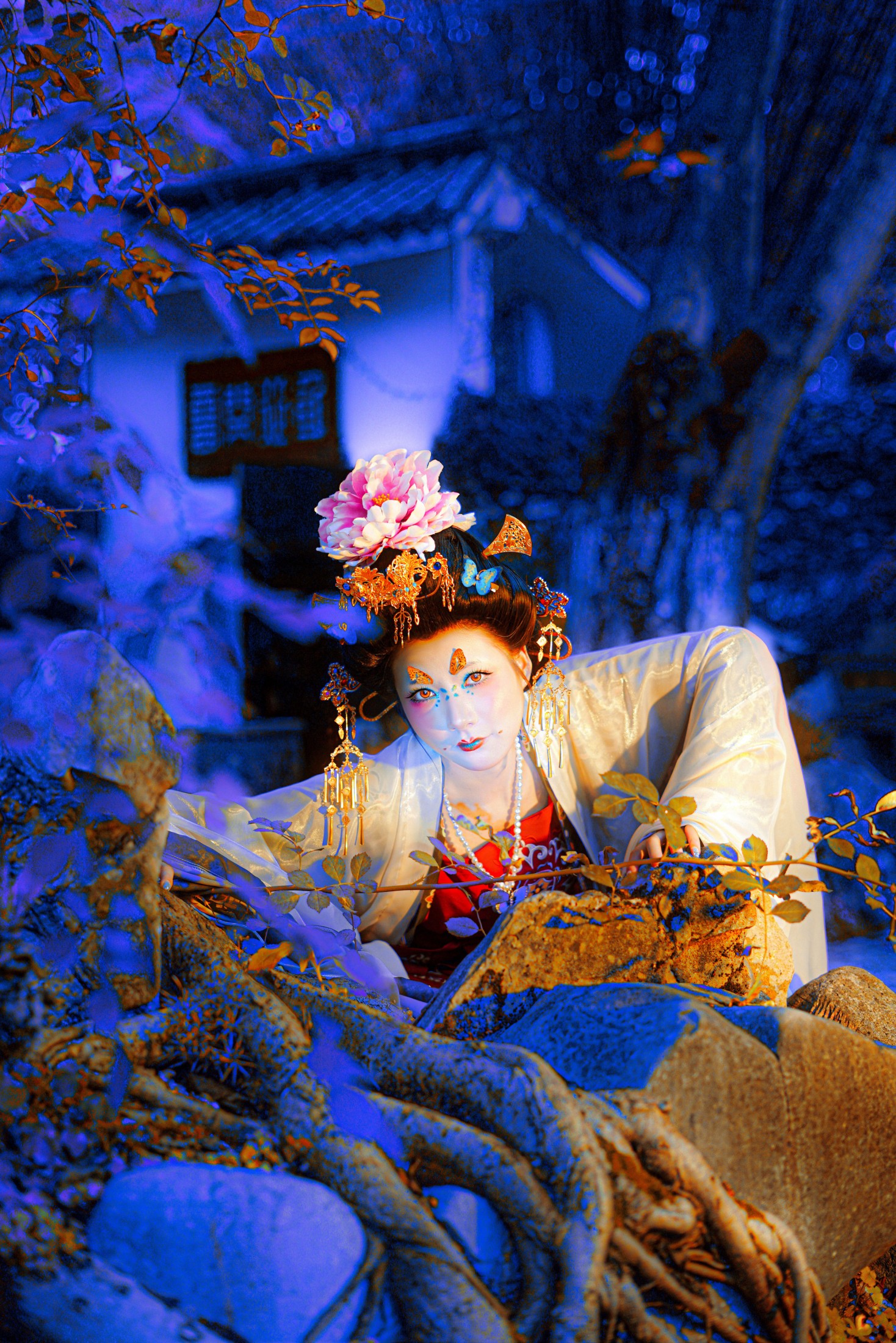 图片[5] - 喜鸢 - 《蝶妖飞升》[10P] - 机器猫次元 - 机器猫次元