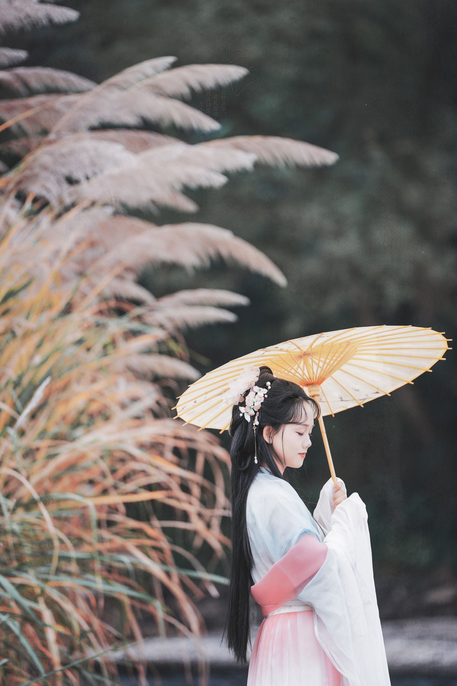 图片[1] - 小清 - 《古风人像拍摄》[14P] - 机器猫次元 - 机器猫次元