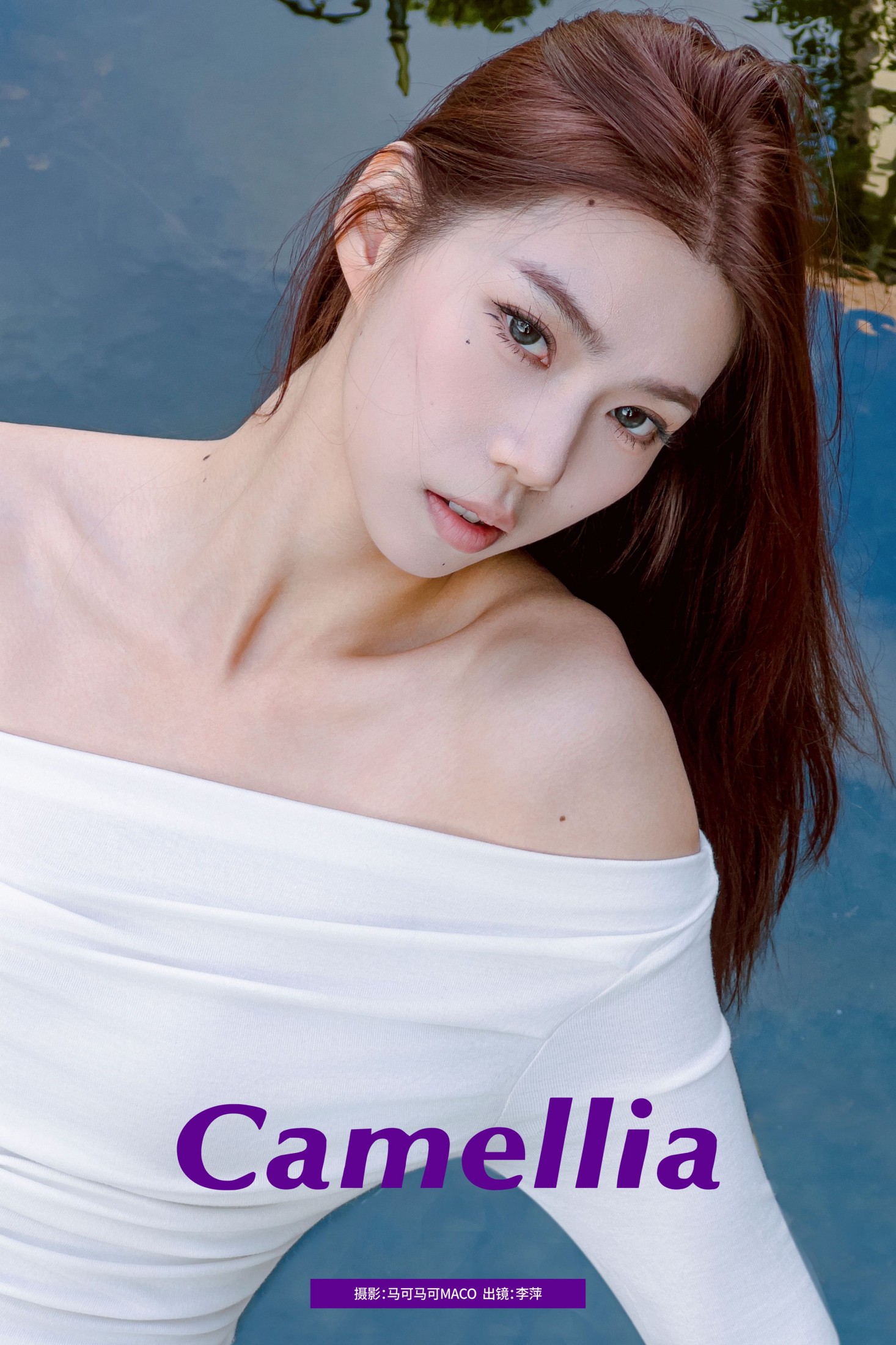 图片[1] - 李萍 - 《Camellia》[20P] - 机器猫次元 - 机器猫次元