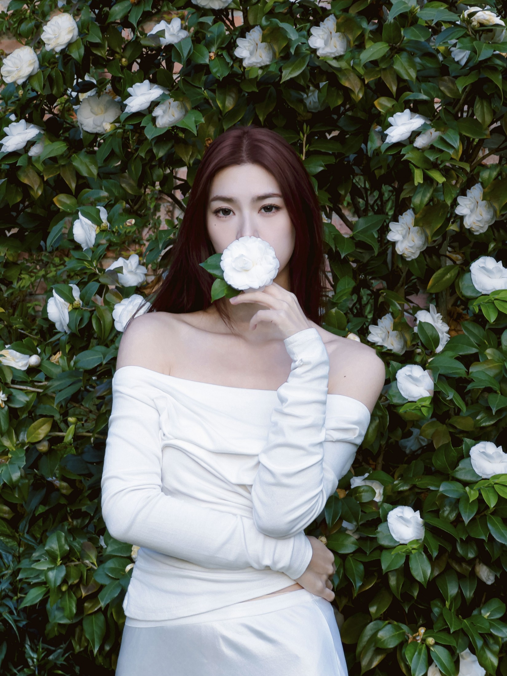 图片[3] - 李萍 - 《Camellia》[20P] - 机器猫次元 - 机器猫次元