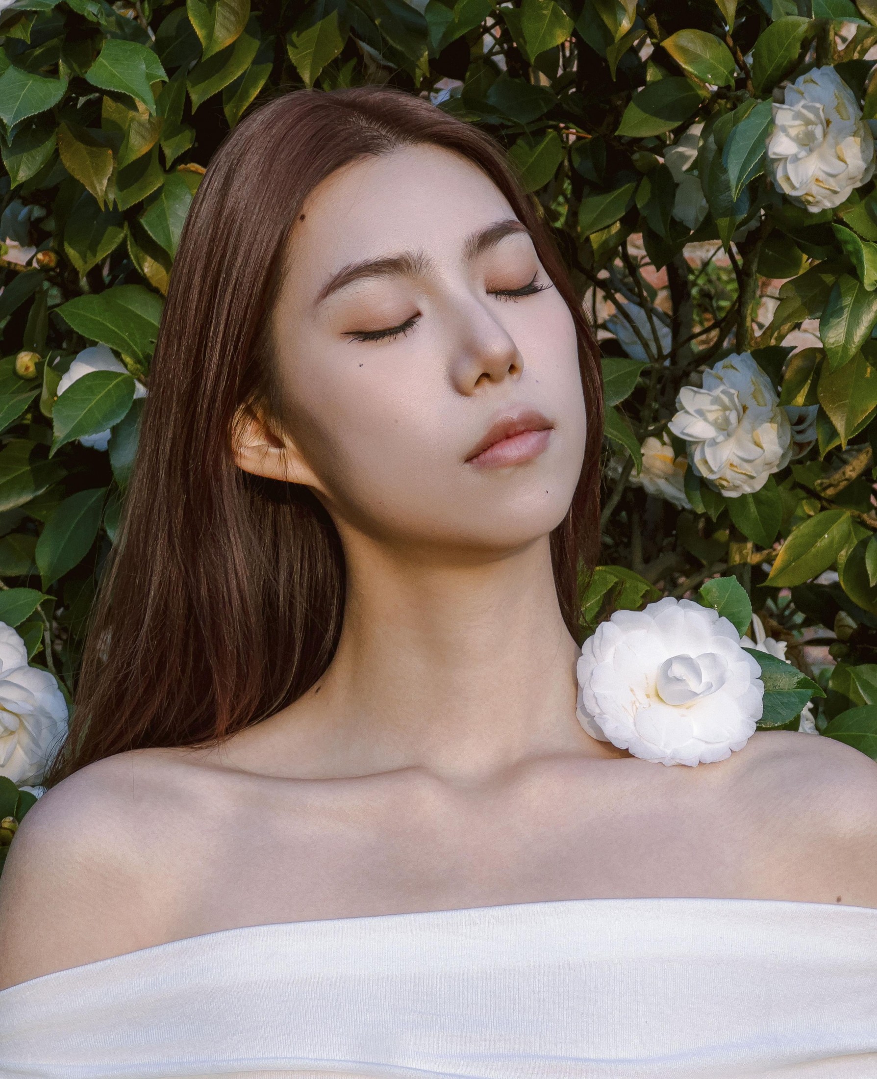 图片[2] - 李萍 - 《Camellia》[20P] - 机器猫次元 - 机器猫次元