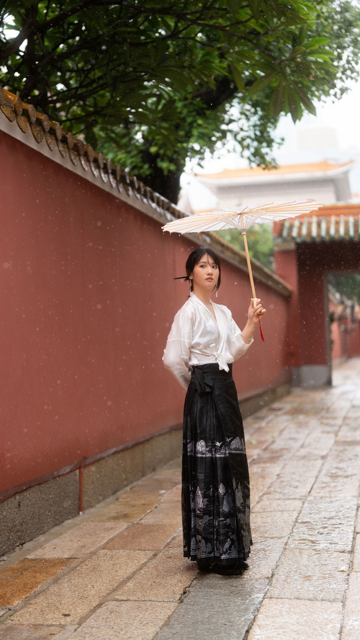 图片[8] - 泡泡小咩 - 《红墙与马面裙》[10P] - 机器猫次元 - 机器猫次元
