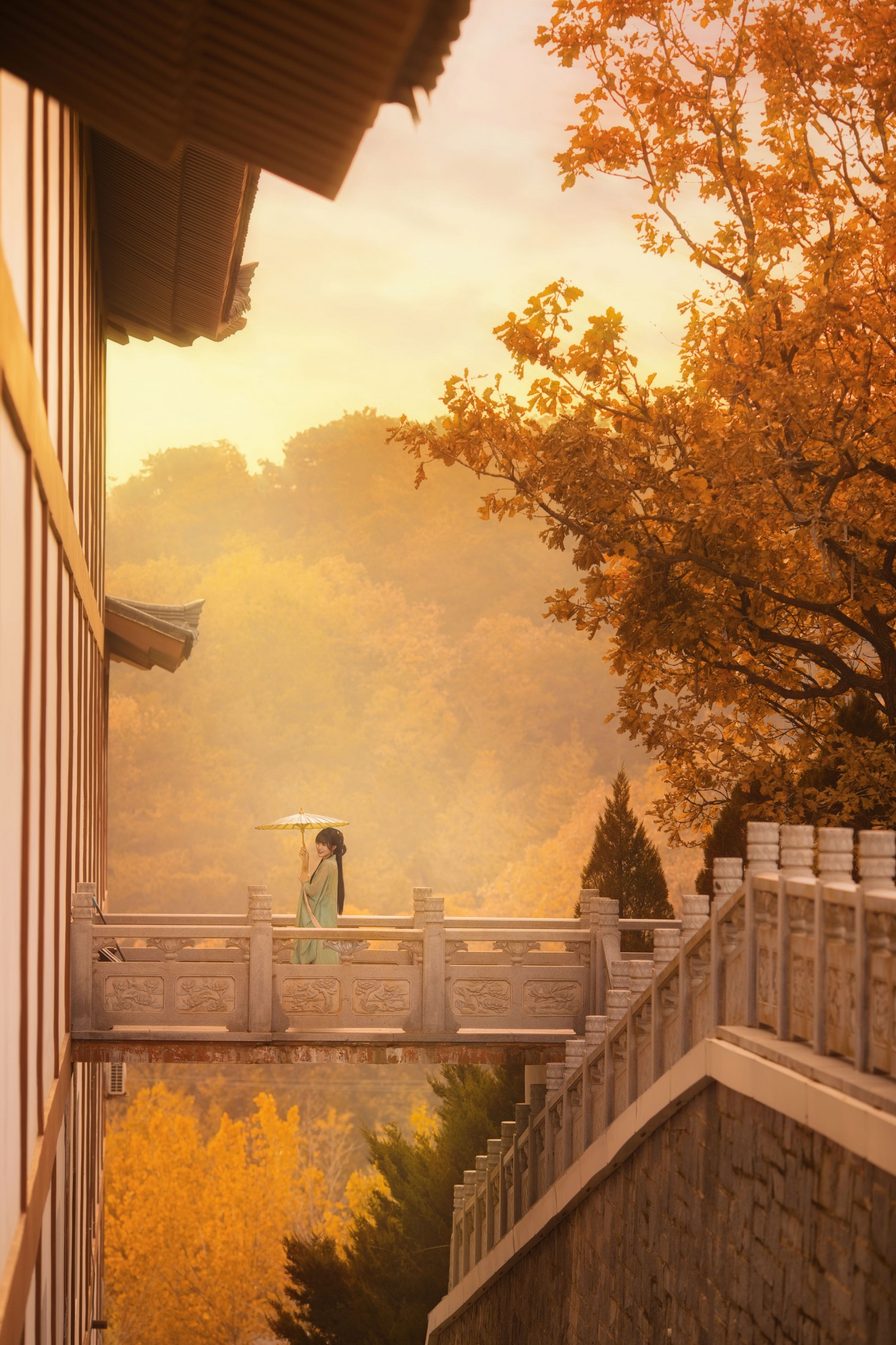 图片[1] - 曲奇 - 《秋意汉服，古韵风华》[18P] - 机器猫次元 - 机器猫次元