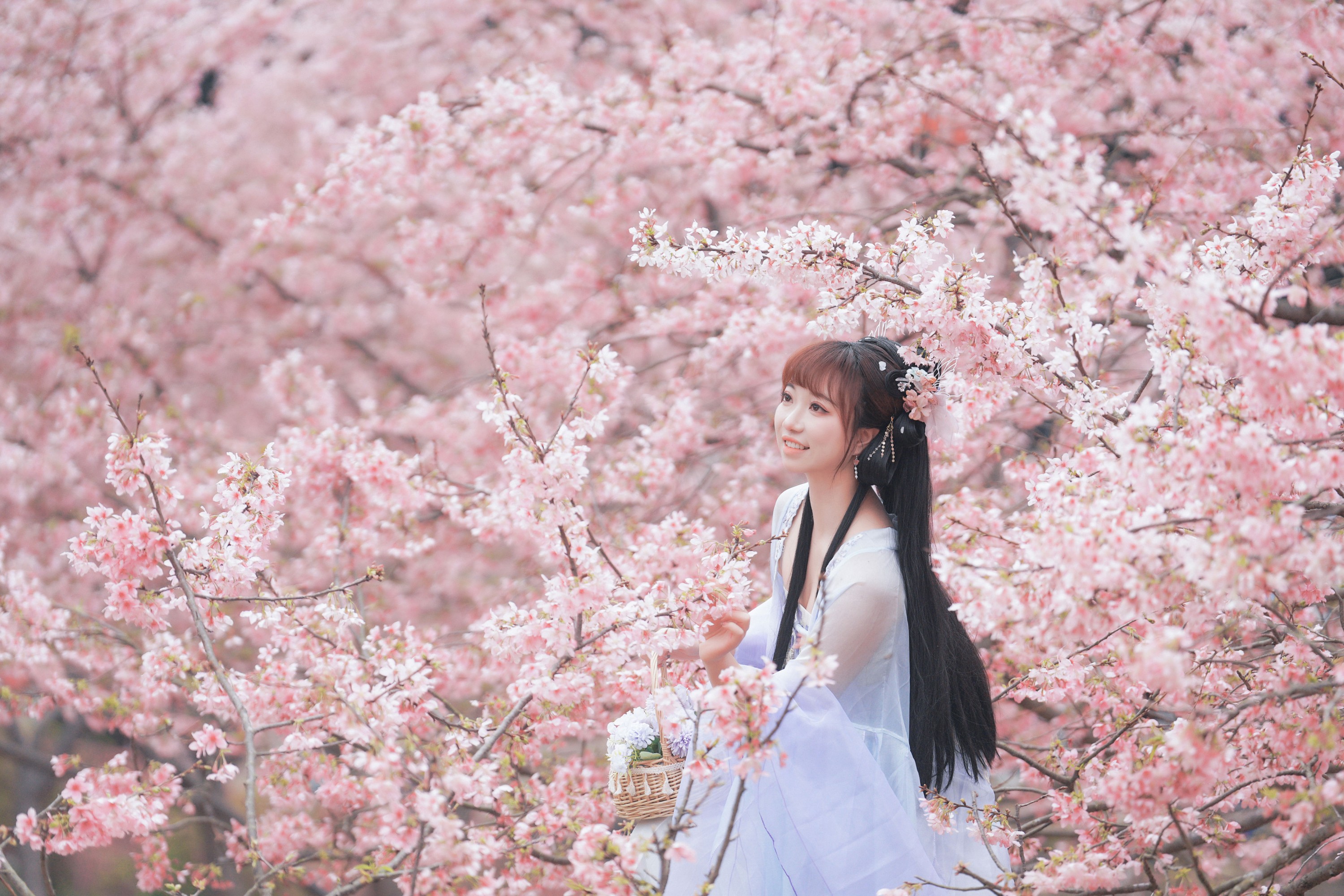 图片[6] - 阿咩咩咩 - 《古风人像拍摄-樱花-陌上花开》[16P] - 机器猫次元 - 机器猫次元