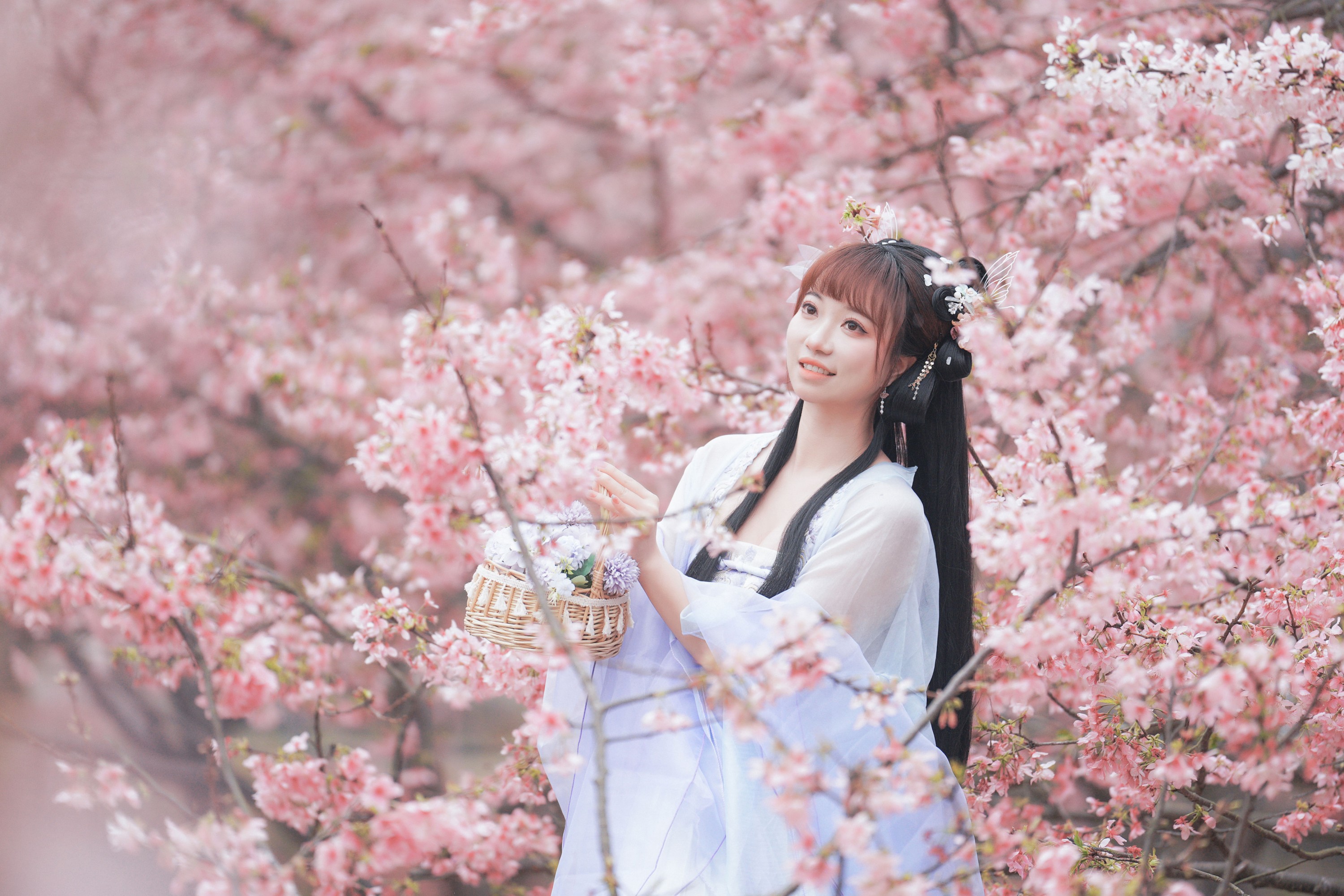 图片[5] - 阿咩咩咩 - 《古风人像拍摄-樱花-陌上花开》[16P] - 机器猫次元 - 机器猫次元