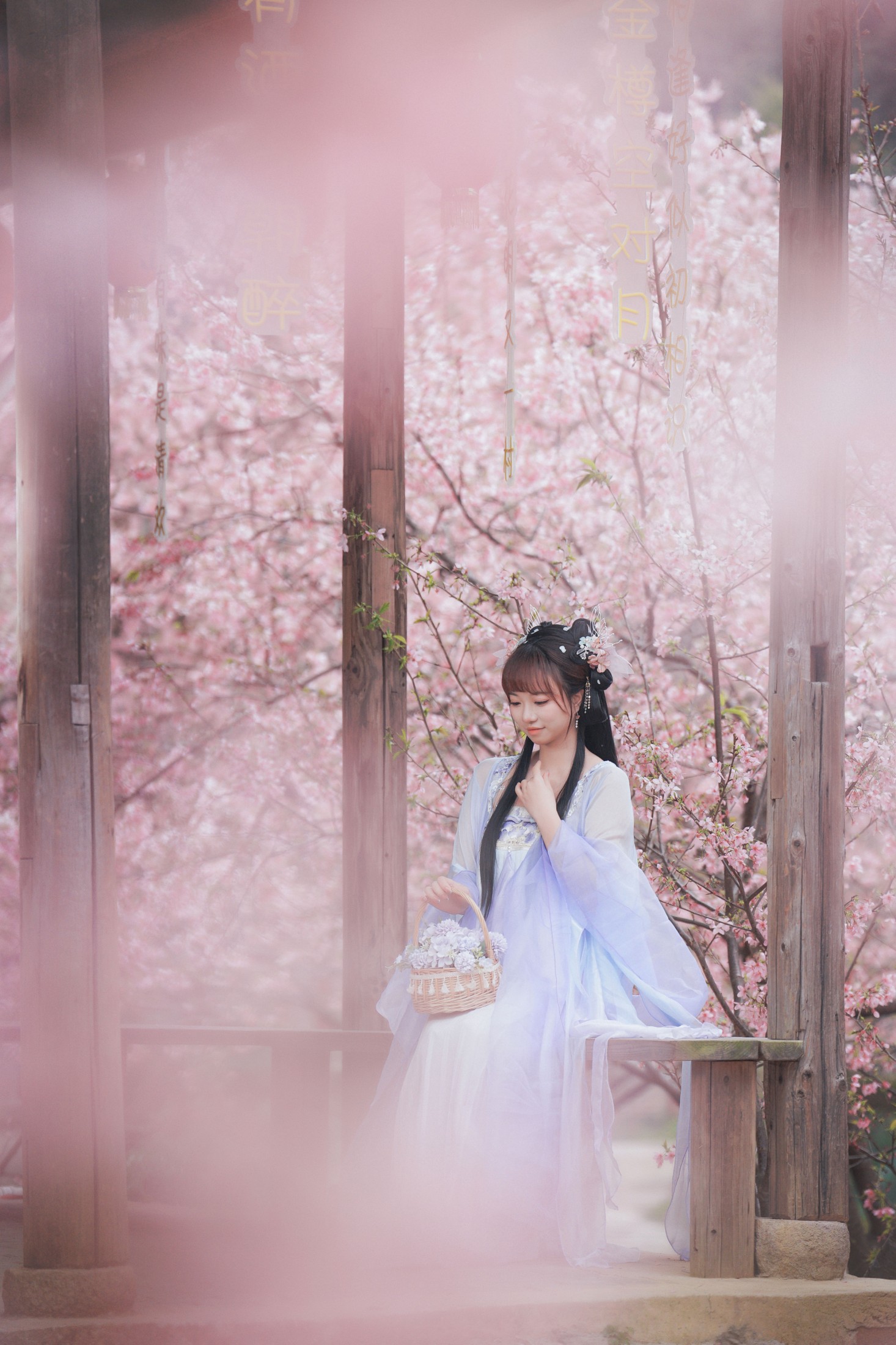 图片[3] - 阿咩咩咩 - 《古风人像拍摄-樱花-陌上花开》[16P] - 机器猫次元 - 机器猫次元