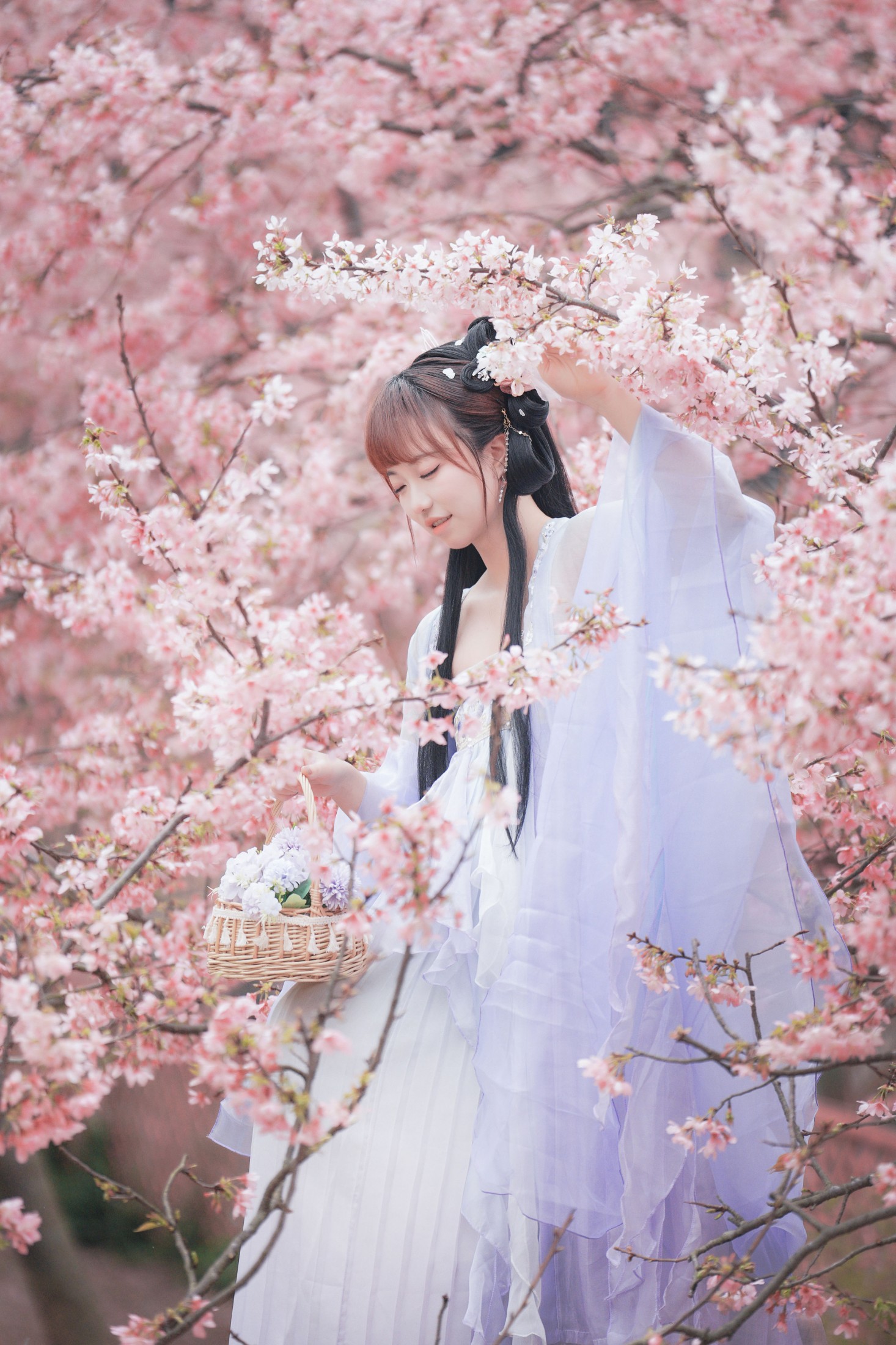 图片[7] - 阿咩咩咩 - 《古风人像拍摄-樱花-陌上花开》[16P] - 机器猫次元 - 机器猫次元
