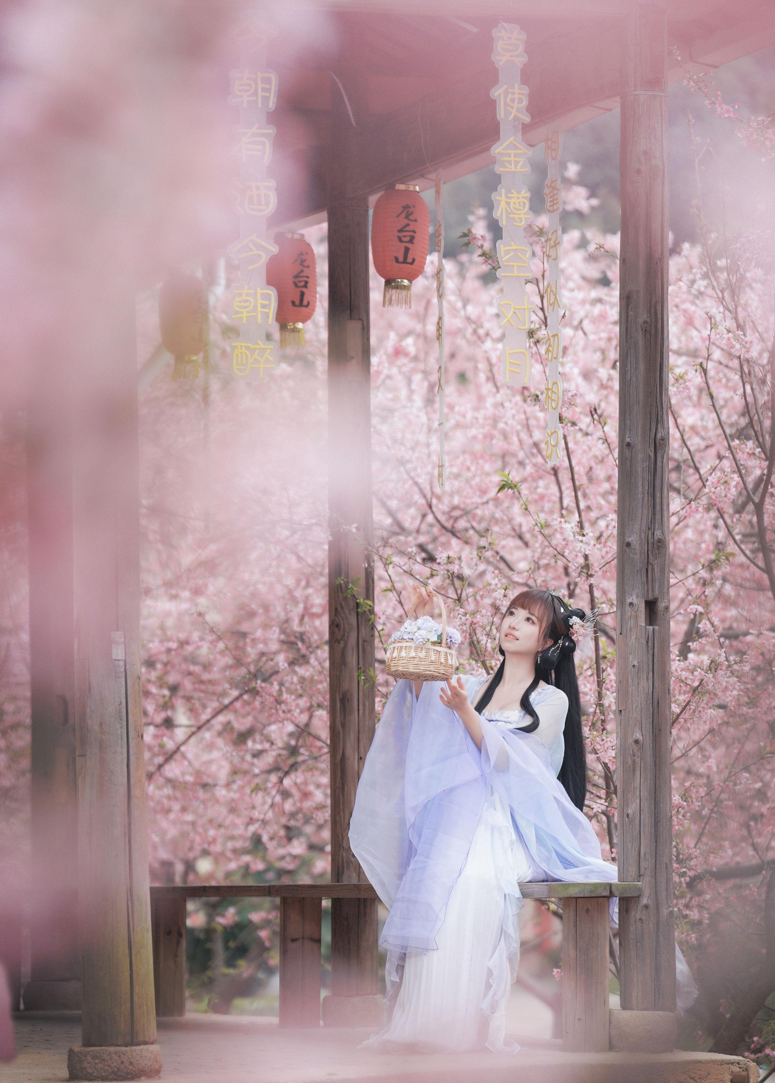 图片[2] - 阿咩咩咩 - 《古风人像拍摄-樱花-陌上花开》[16P] - 机器猫次元 - 机器猫次元