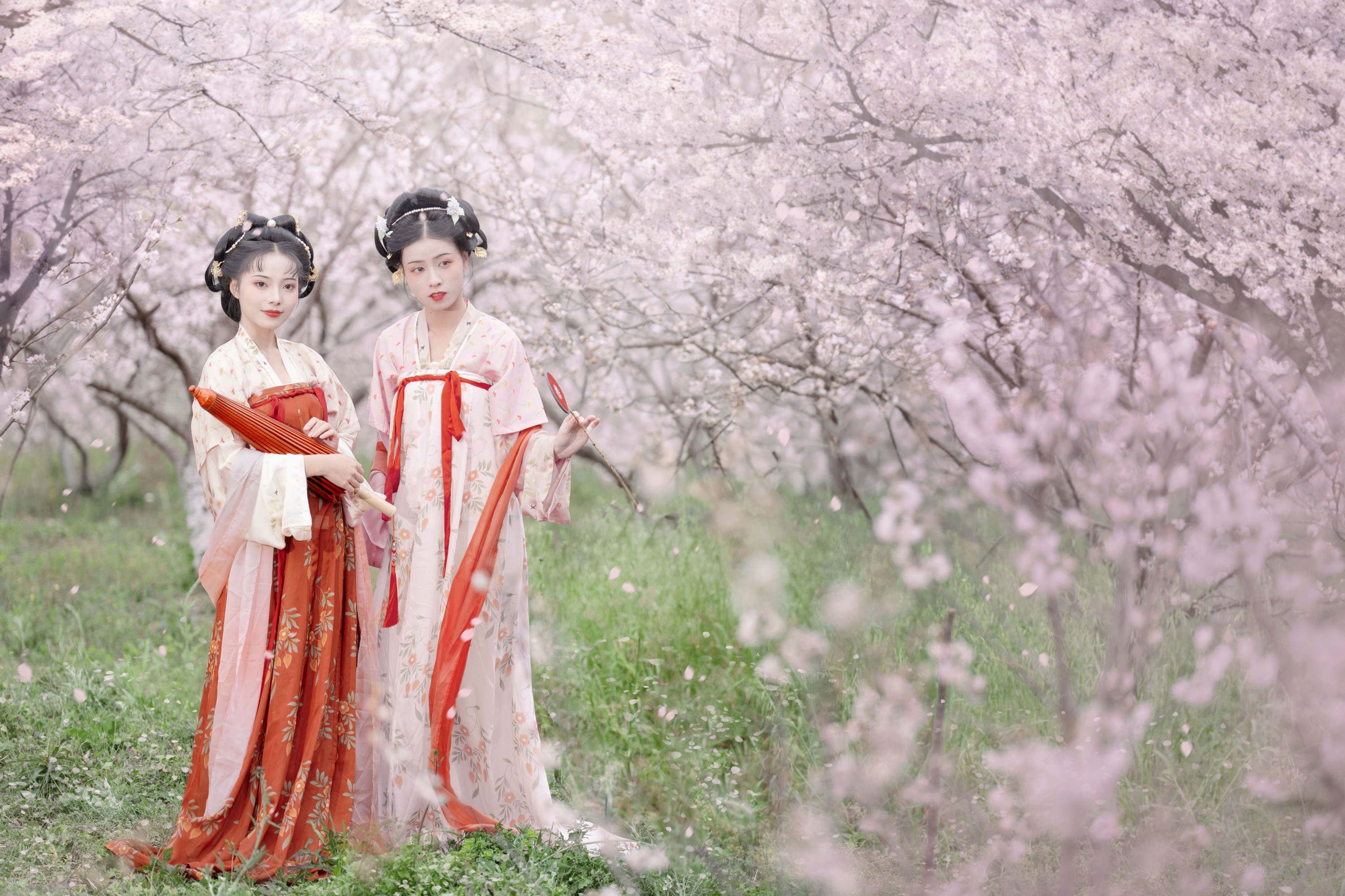 图片[3] - 遥七不卖鸡毛菜 佳妃 - 《一朝春雨落·十里春花开》[9P] - 机器猫次元 - 机器猫次元