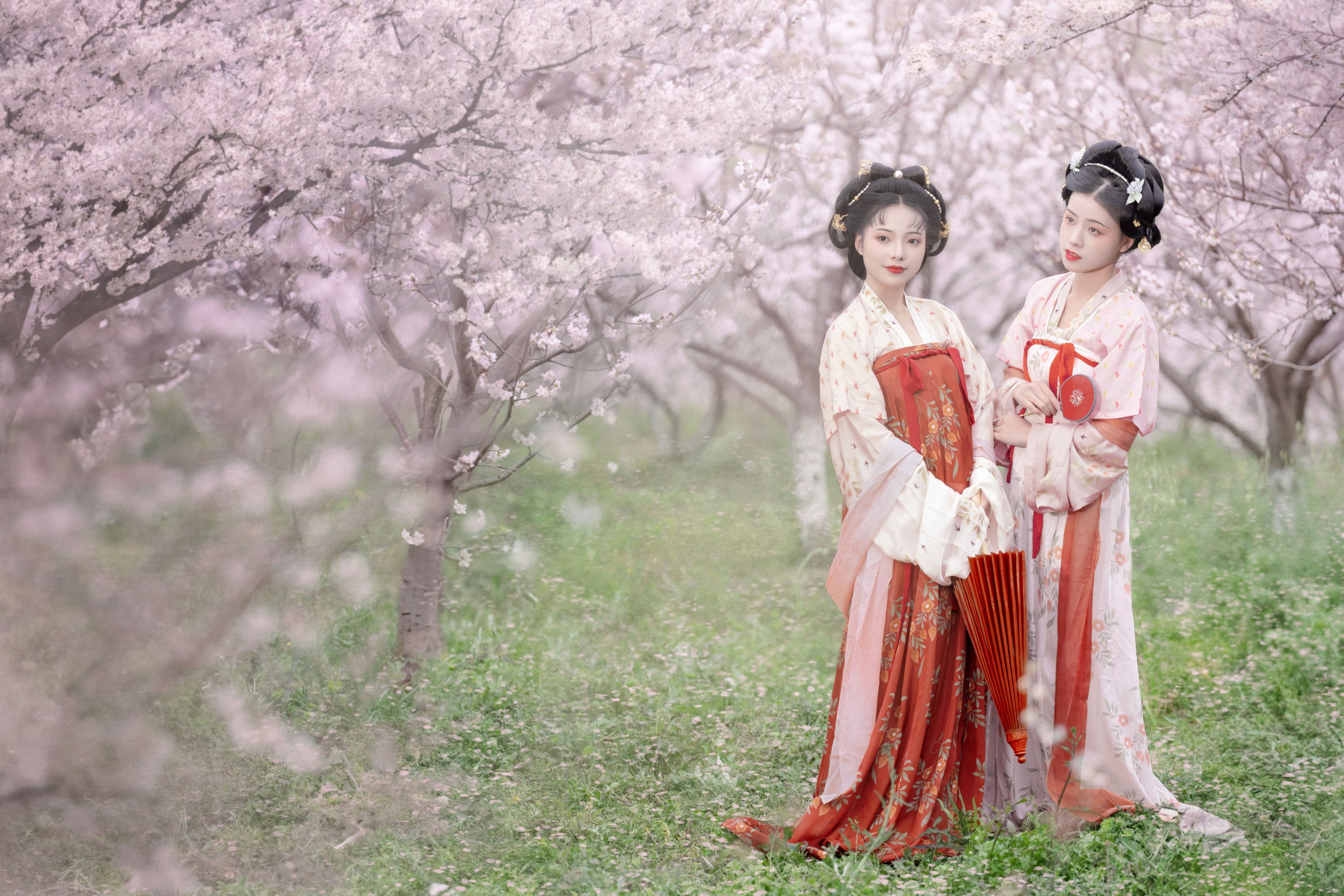 图片[4] - 遥七不卖鸡毛菜 佳妃 - 《一朝春雨落·十里春花开》[9P] - 机器猫次元 - 机器猫次元