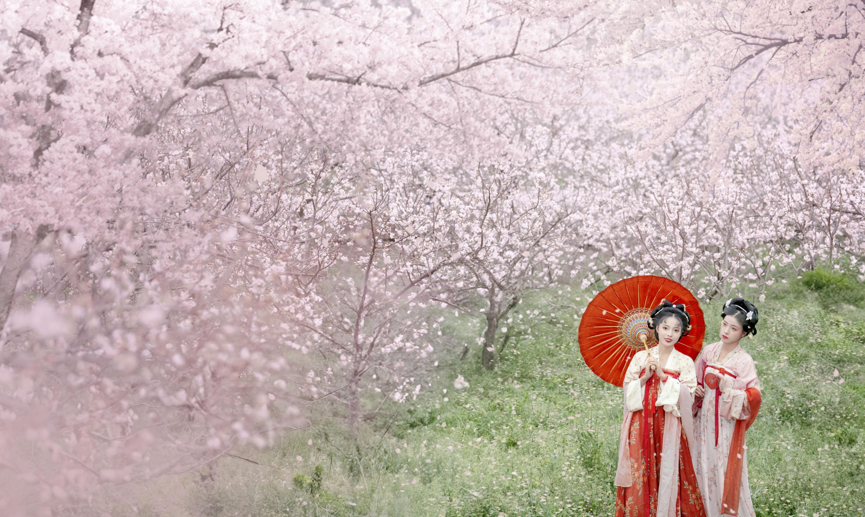 图片[2] - 遥七不卖鸡毛菜 佳妃 - 《一朝春雨落·十里春花开》[9P] - 机器猫次元 - 机器猫次元