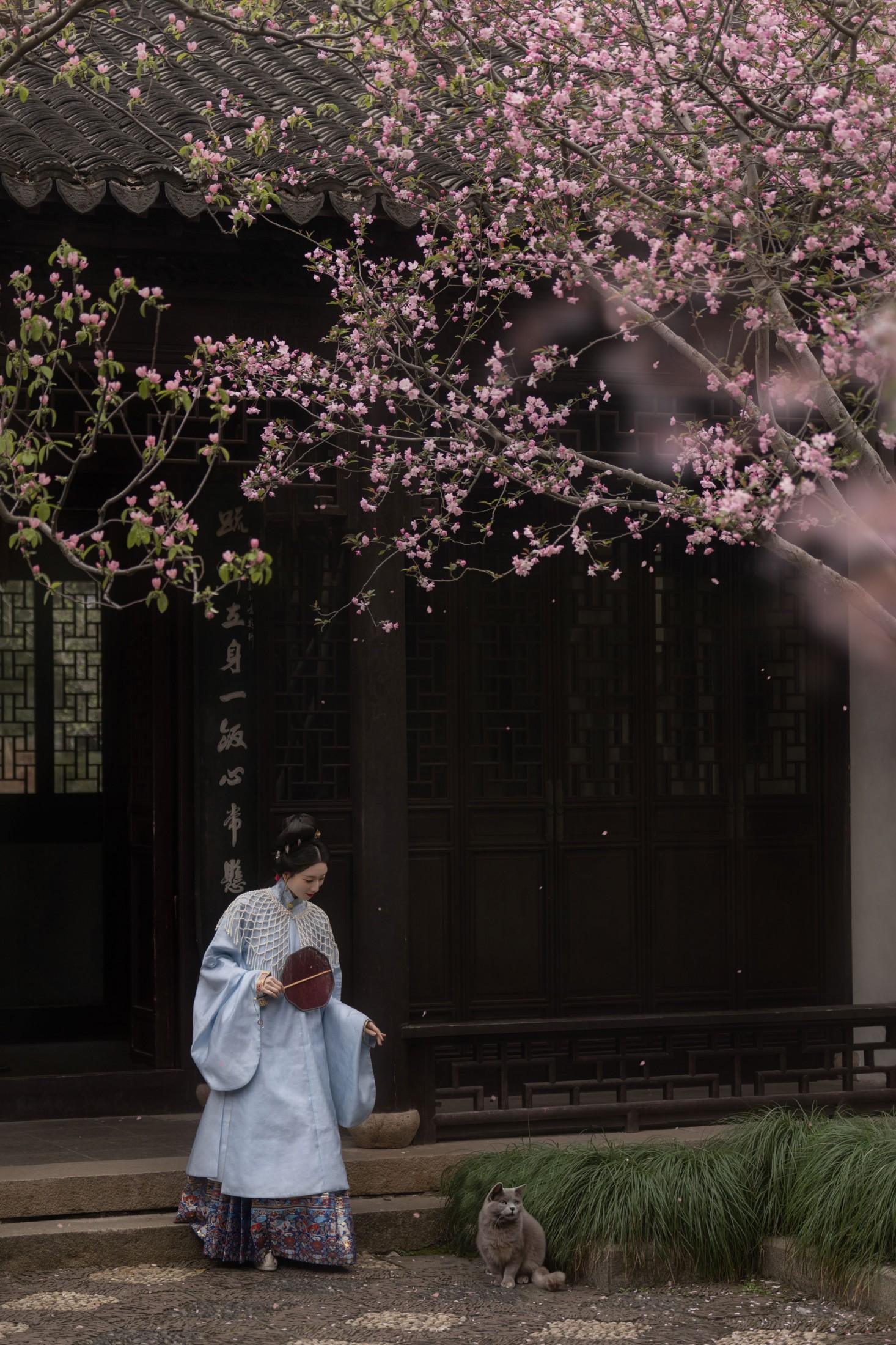 图片[1] - 徐浪浪走在马路上 - 《海棠铺秀》[9P] - 机器猫次元 - 机器猫次元