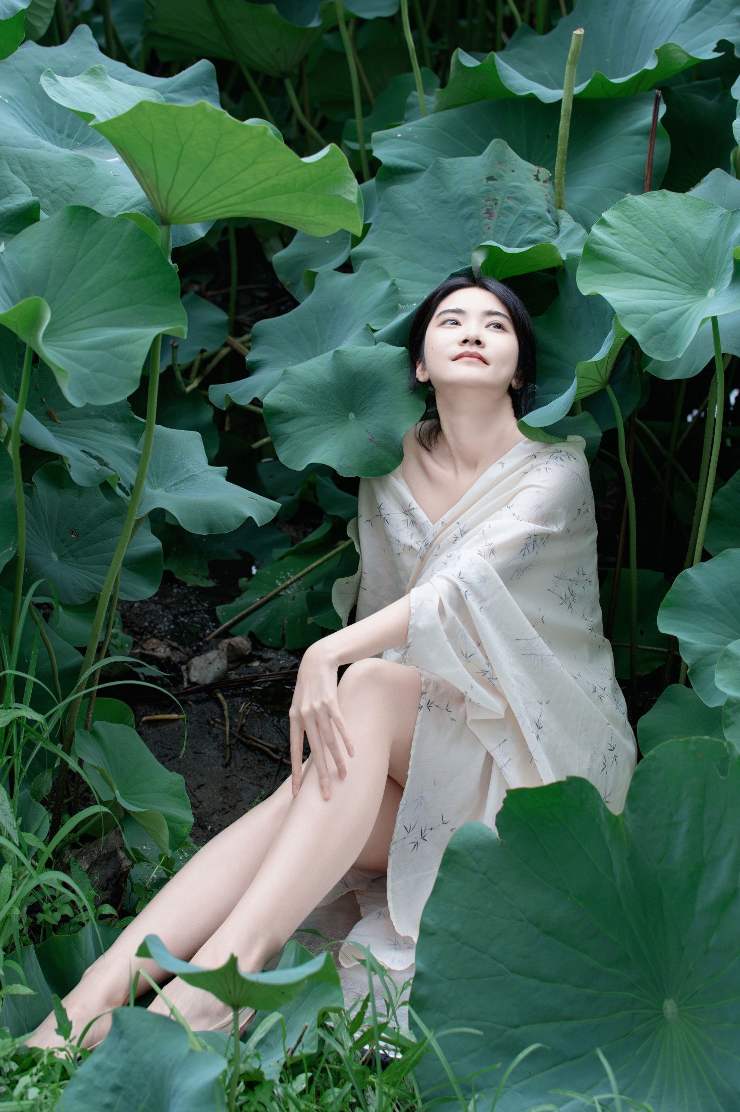 图片[1] - 丹 - 《夏荷之殇》[32P] - 机器猫次元 - 机器猫次元