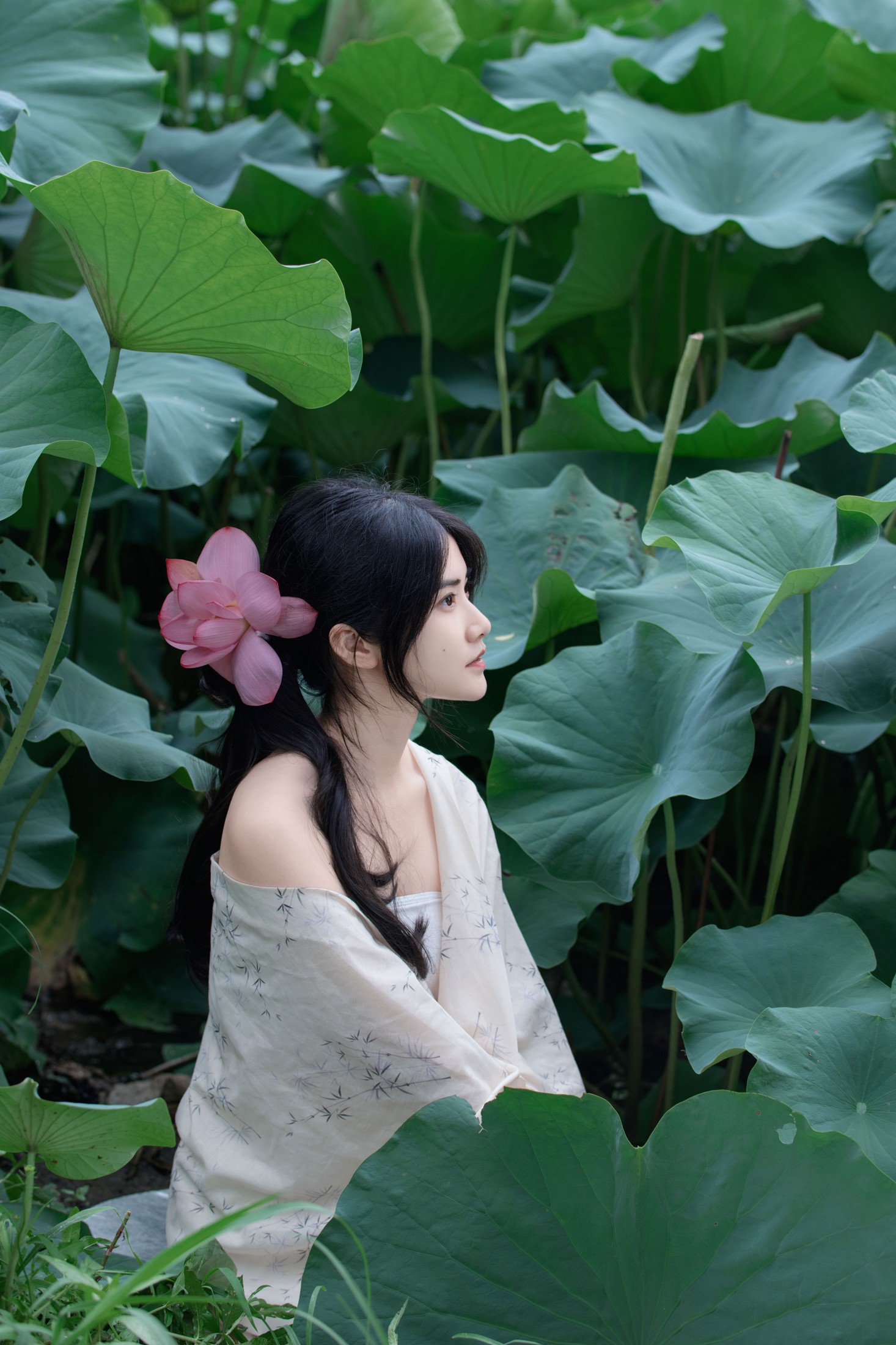 图片[7] - 丹 - 《夏荷之殇》[32P] - 机器猫次元 - 机器猫次元