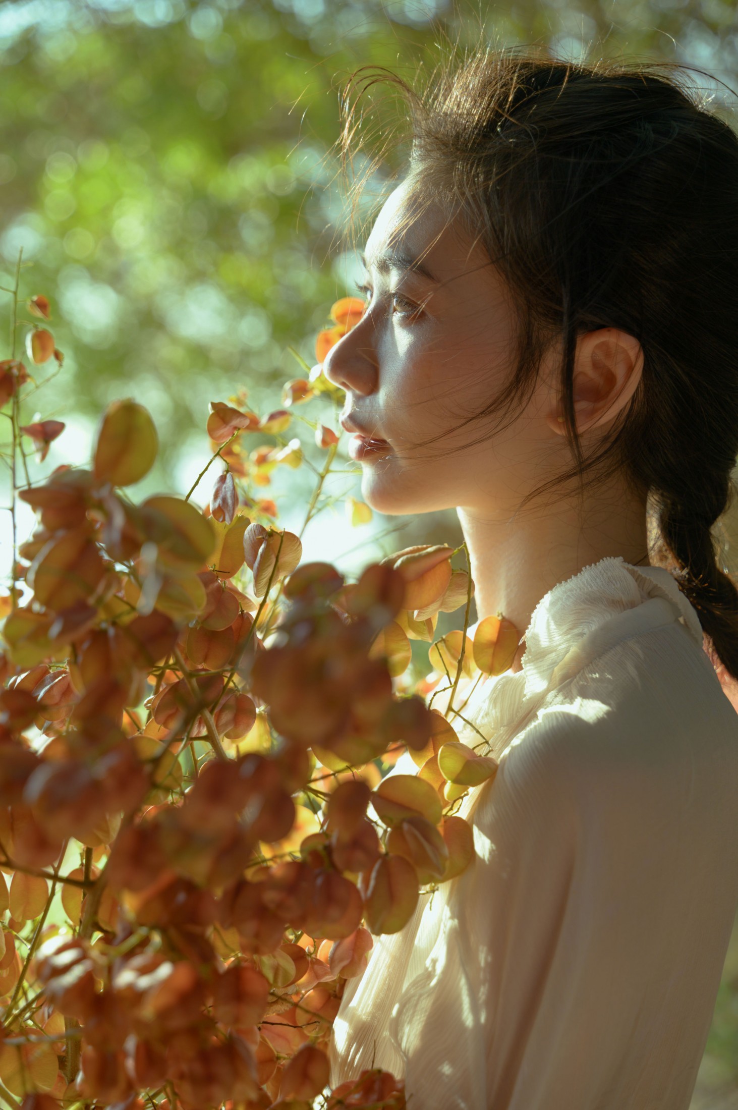 图片[5] - 小张 - 《栾树的秋天》[42P] - 机器猫次元 - 机器猫次元