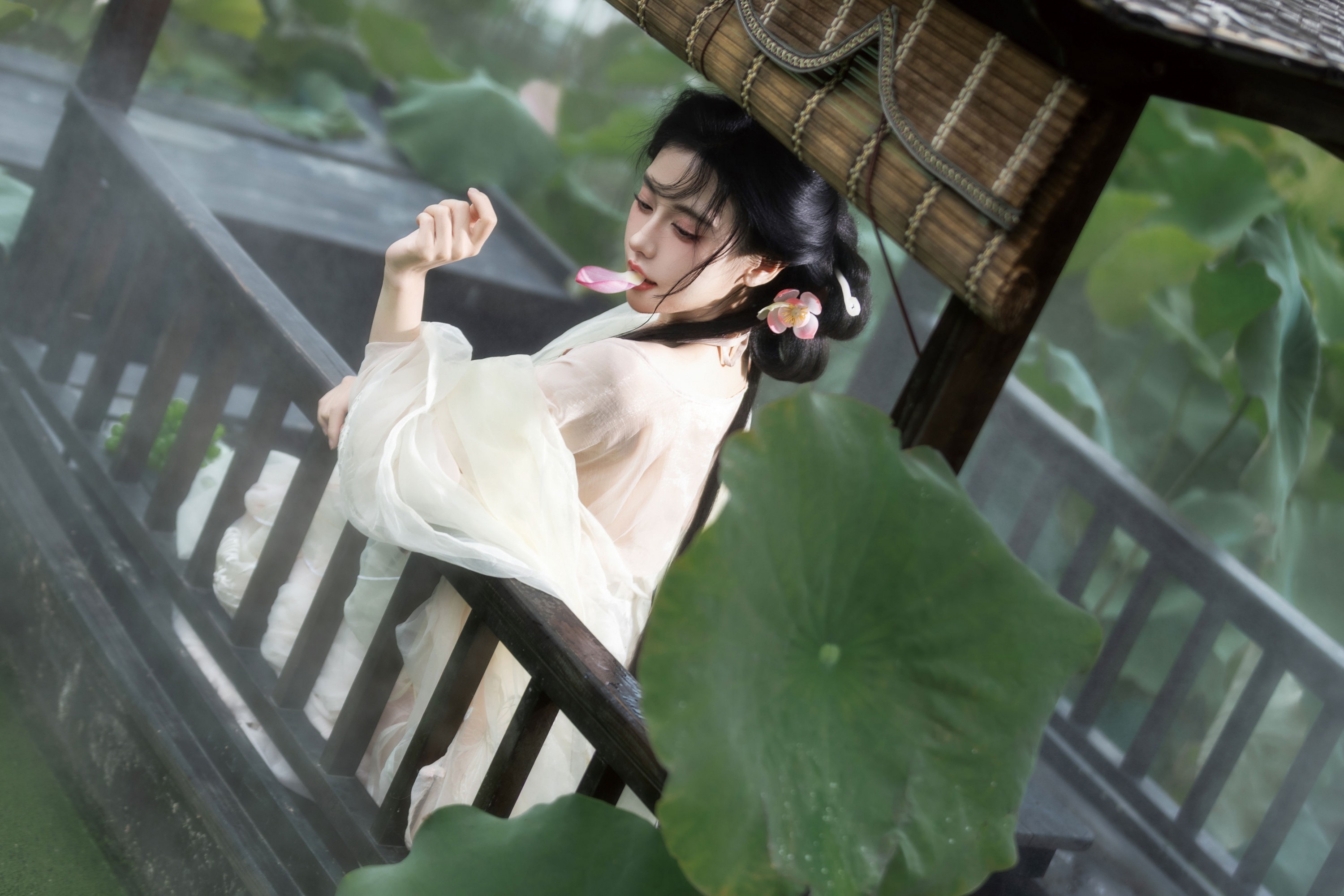 图片[1] - - 《荷》[17P] - 机器猫次元 - 机器猫次元
