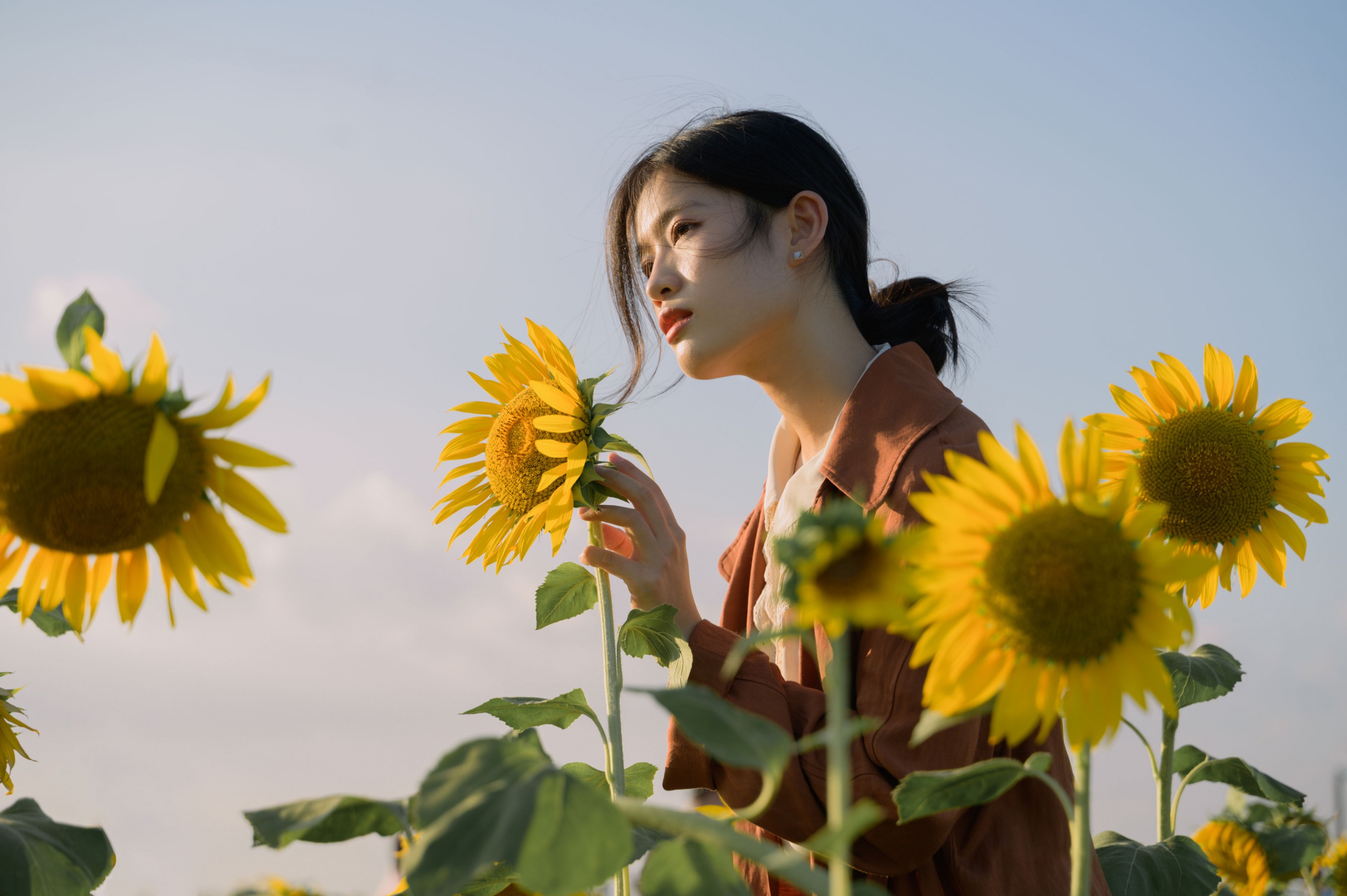 图片[7] - 芦苇微微 - 《向日葵的守望者》[41P] - 机器猫次元 - 机器猫次元