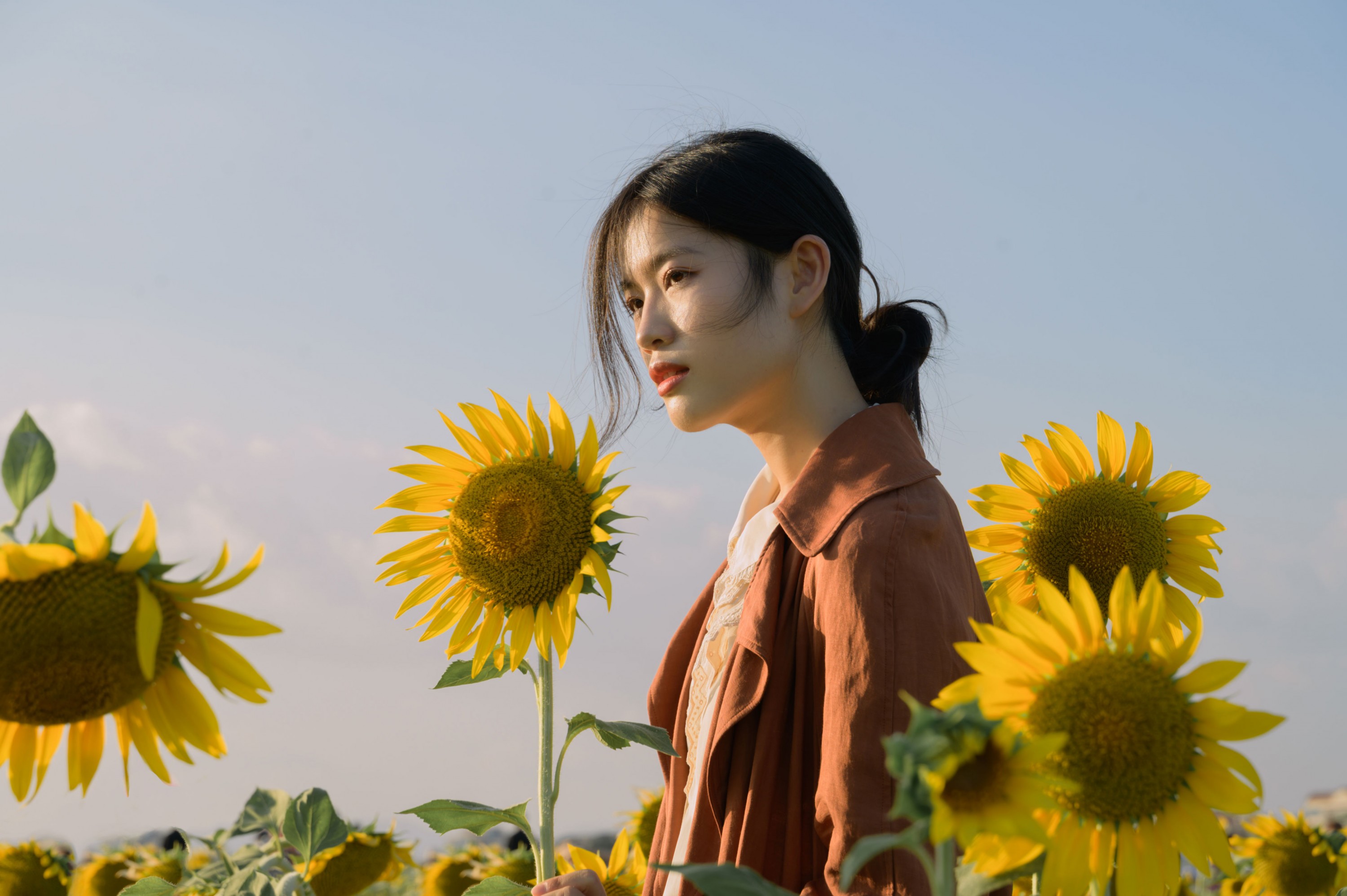 图片[6] - 芦苇微微 - 《向日葵的守望者》[41P] - 机器猫次元 - 机器猫次元