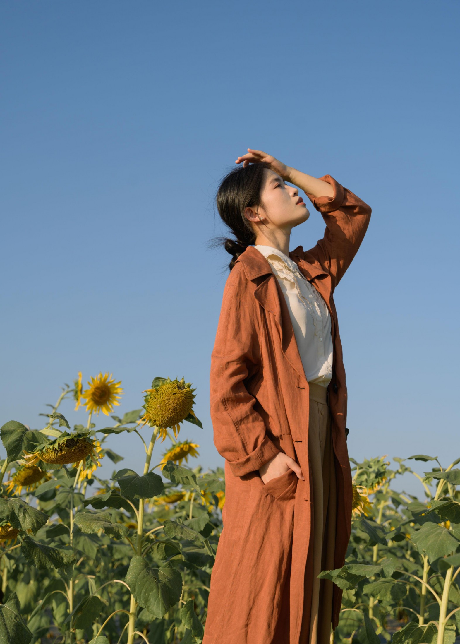 图片[2] - 芦苇微微 - 《向日葵的守望者》[41P] - 机器猫次元 - 机器猫次元