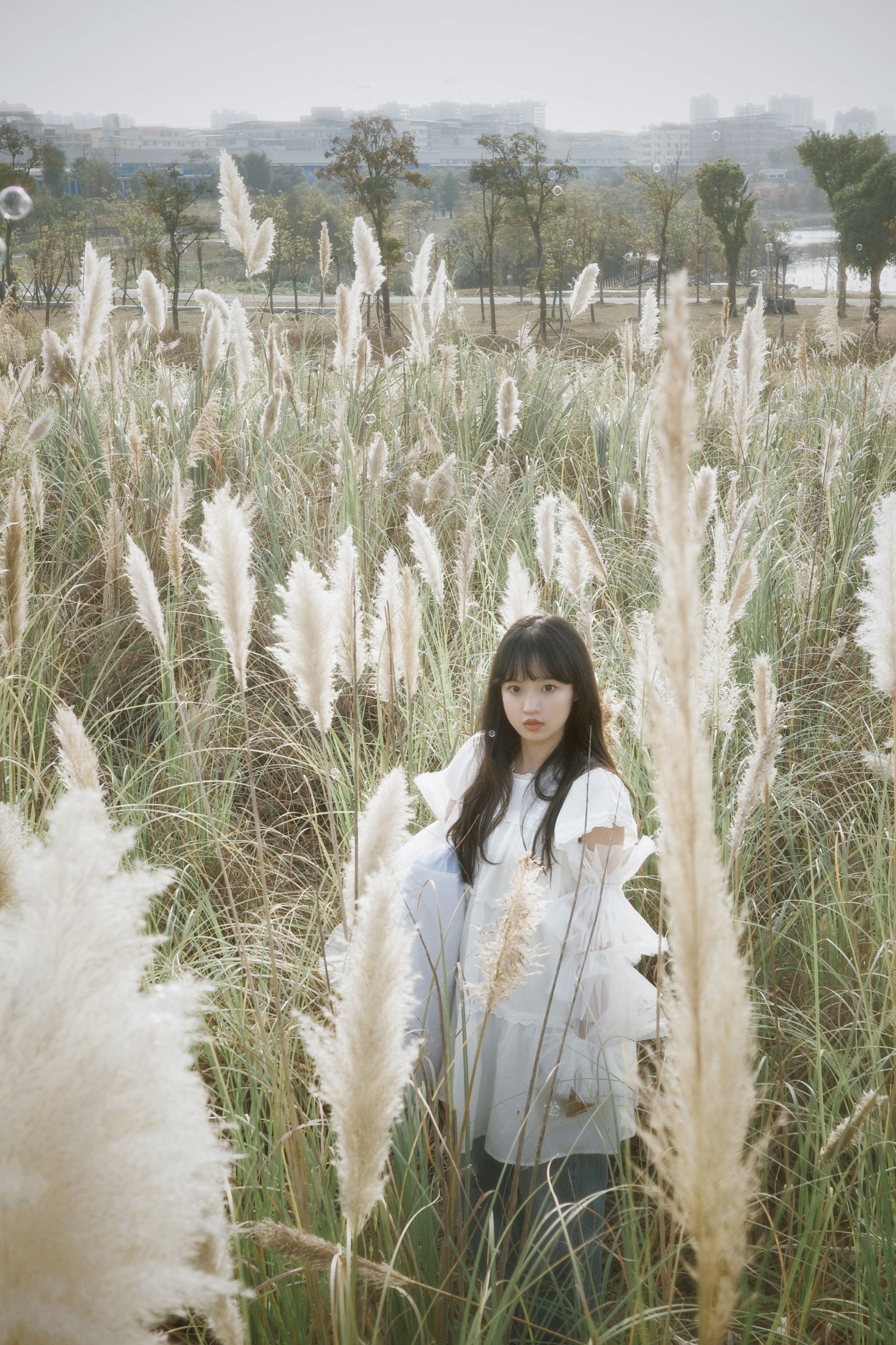 图片[4] - - 《芦苇幻梦》[10P] - 机器猫次元 - 机器猫次元