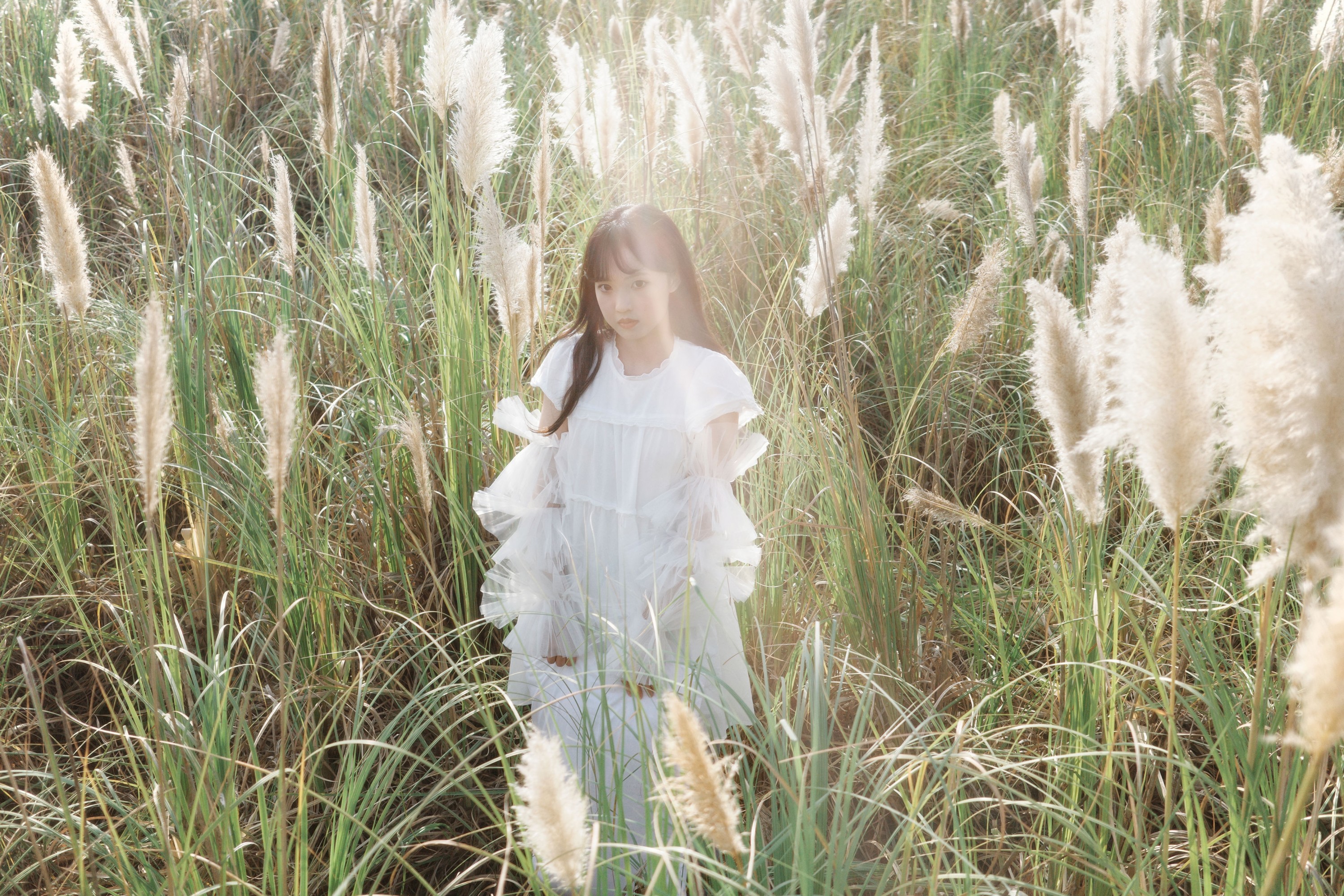 图片[7] - - 《芦苇幻梦》[10P] - 机器猫次元 - 机器猫次元
