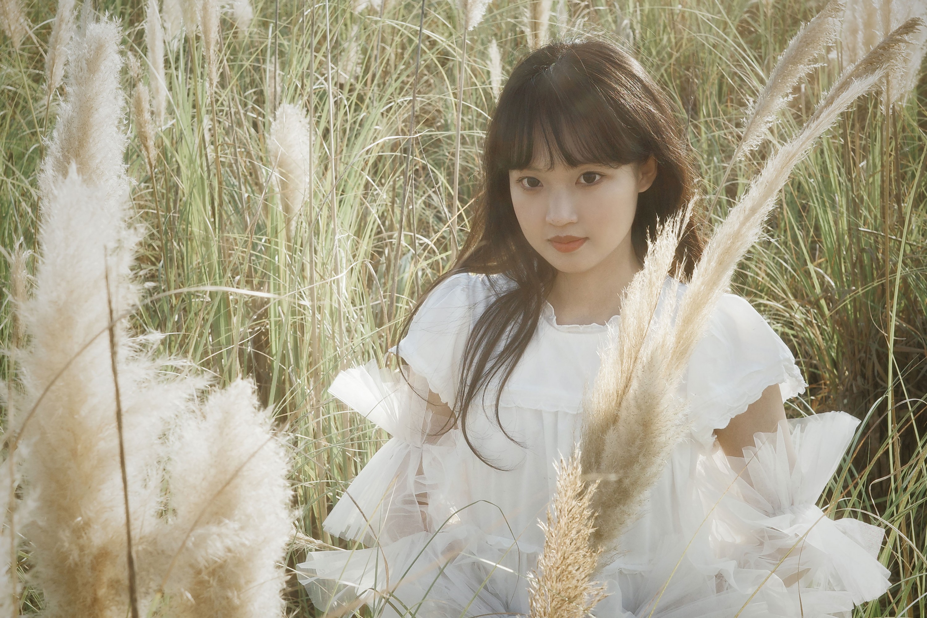 图片[1] - - 《芦苇幻梦》[10P] - 机器猫次元 - 机器猫次元