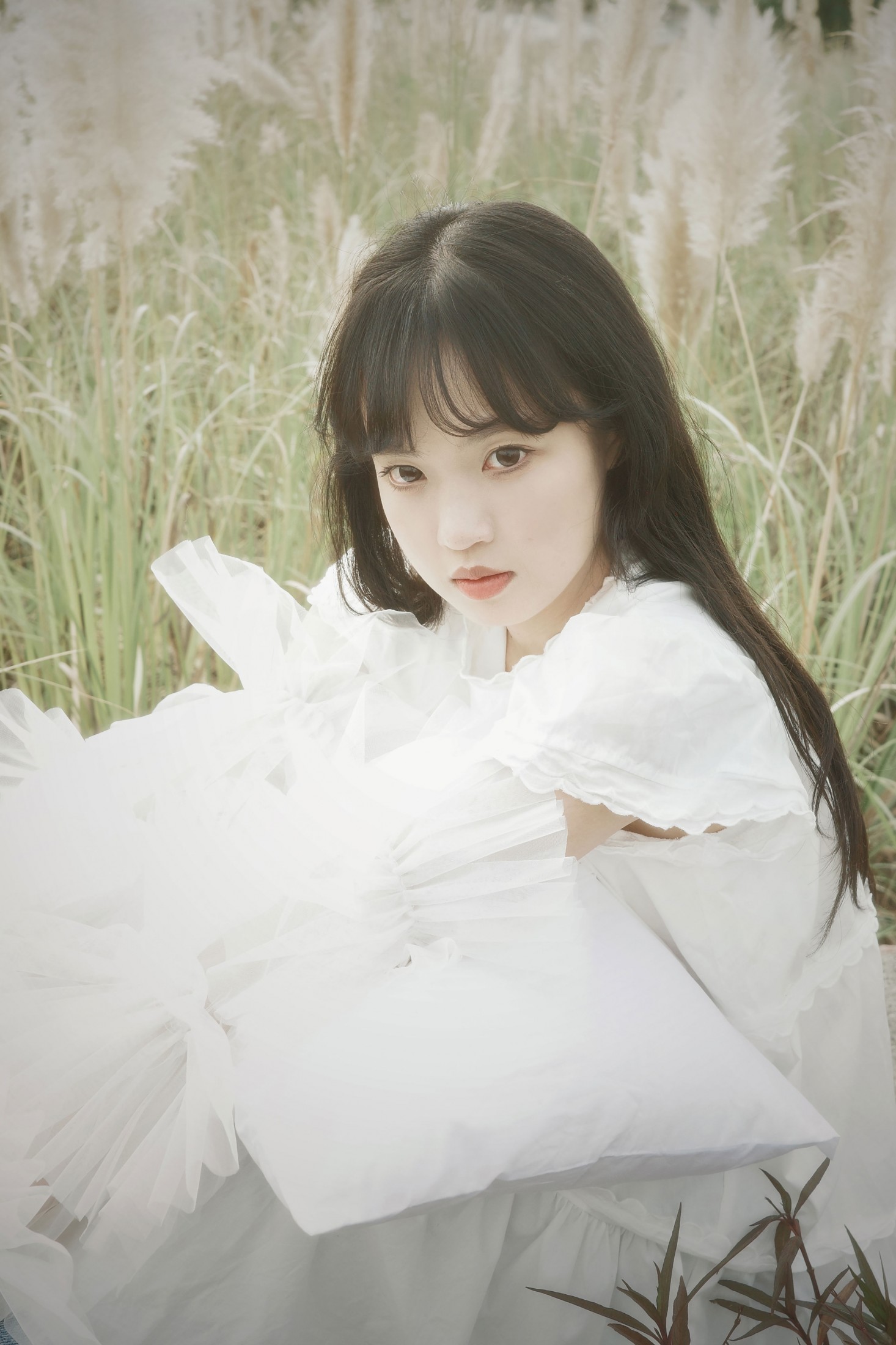 图片[5] - - 《芦苇幻梦》[10P] - 机器猫次元 - 机器猫次元