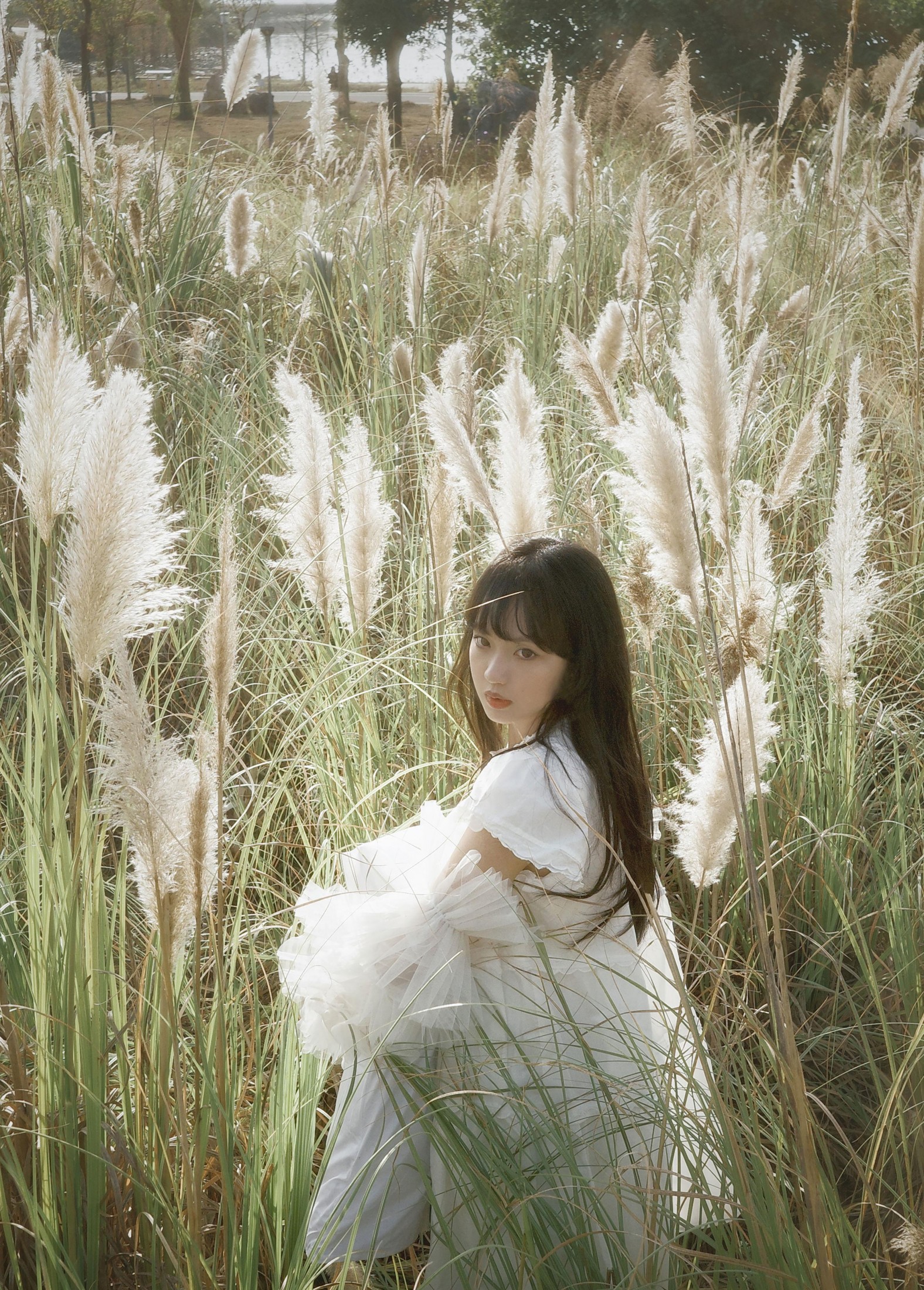 图片[2] - - 《芦苇幻梦》[10P] - 机器猫次元 - 机器猫次元
