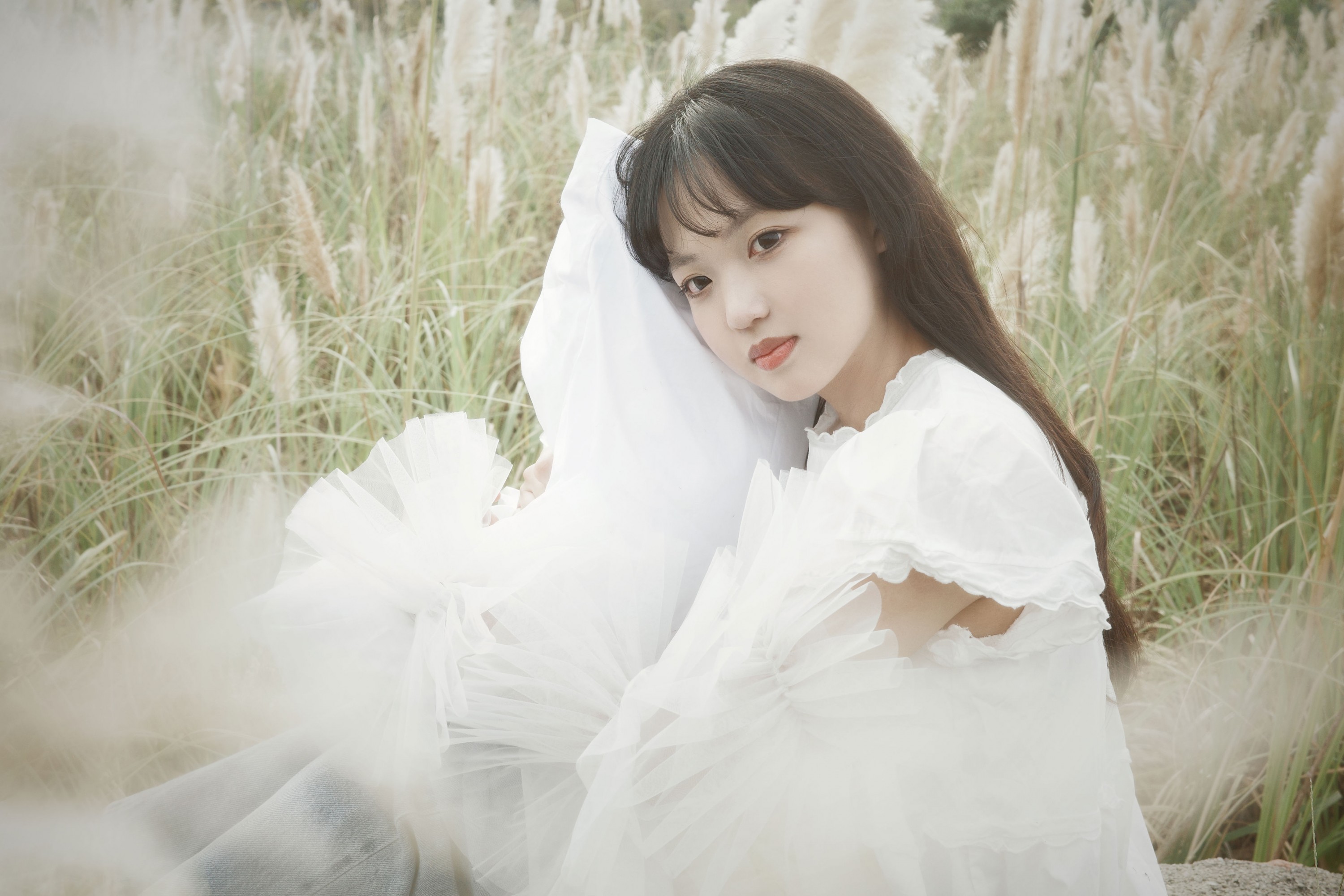 图片[8] - - 《芦苇幻梦》[10P] - 机器猫次元 - 机器猫次元