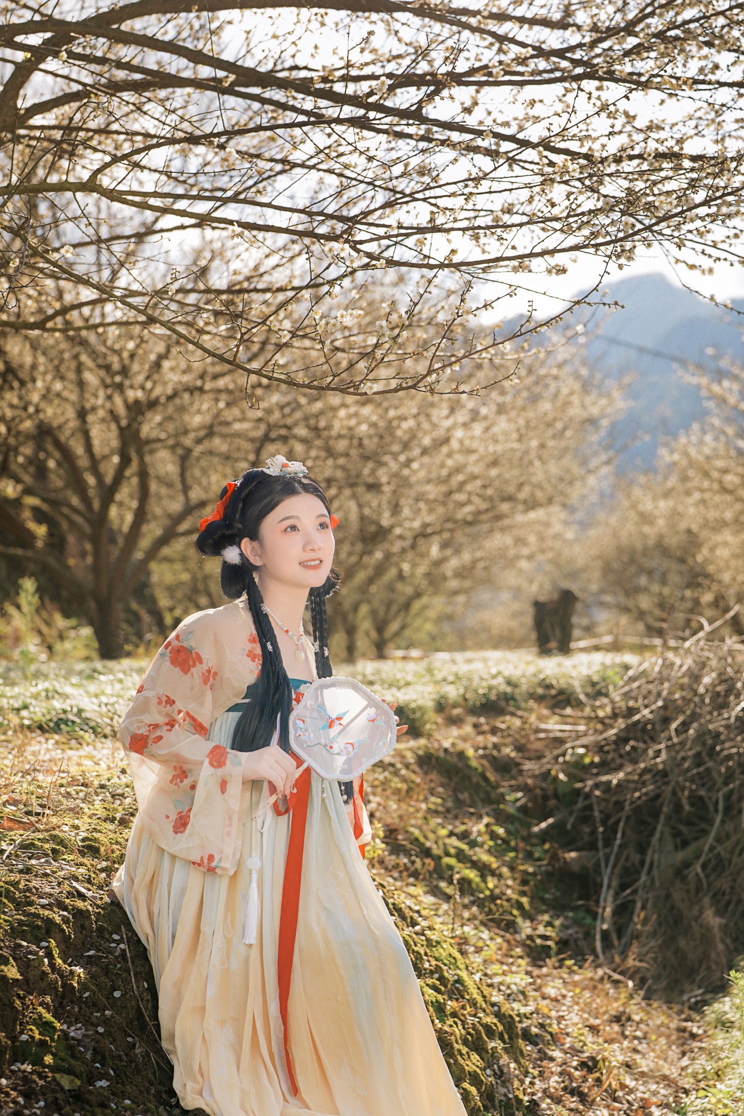 图片[1] - 圆圆 - 《古风人像拍摄-梅花-圆圆》[20P] - 机器猫次元 - 机器猫次元